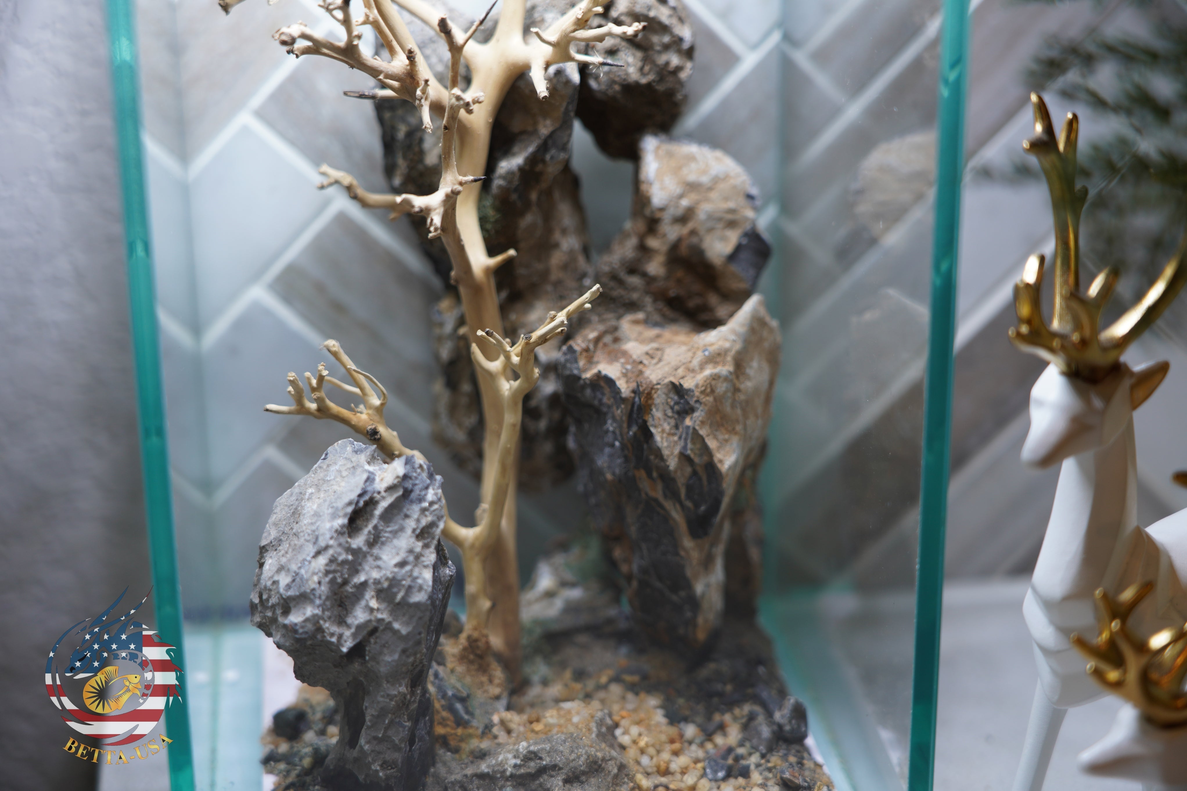 [SCAPE-63] Bonsai On Rock  Nature Aquarium Aquascape– 1.6 Gallons