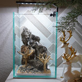 [SCAPE-64] Bonsai On Rock  Nature Aquarium Aquascape– 1.6 Gallons