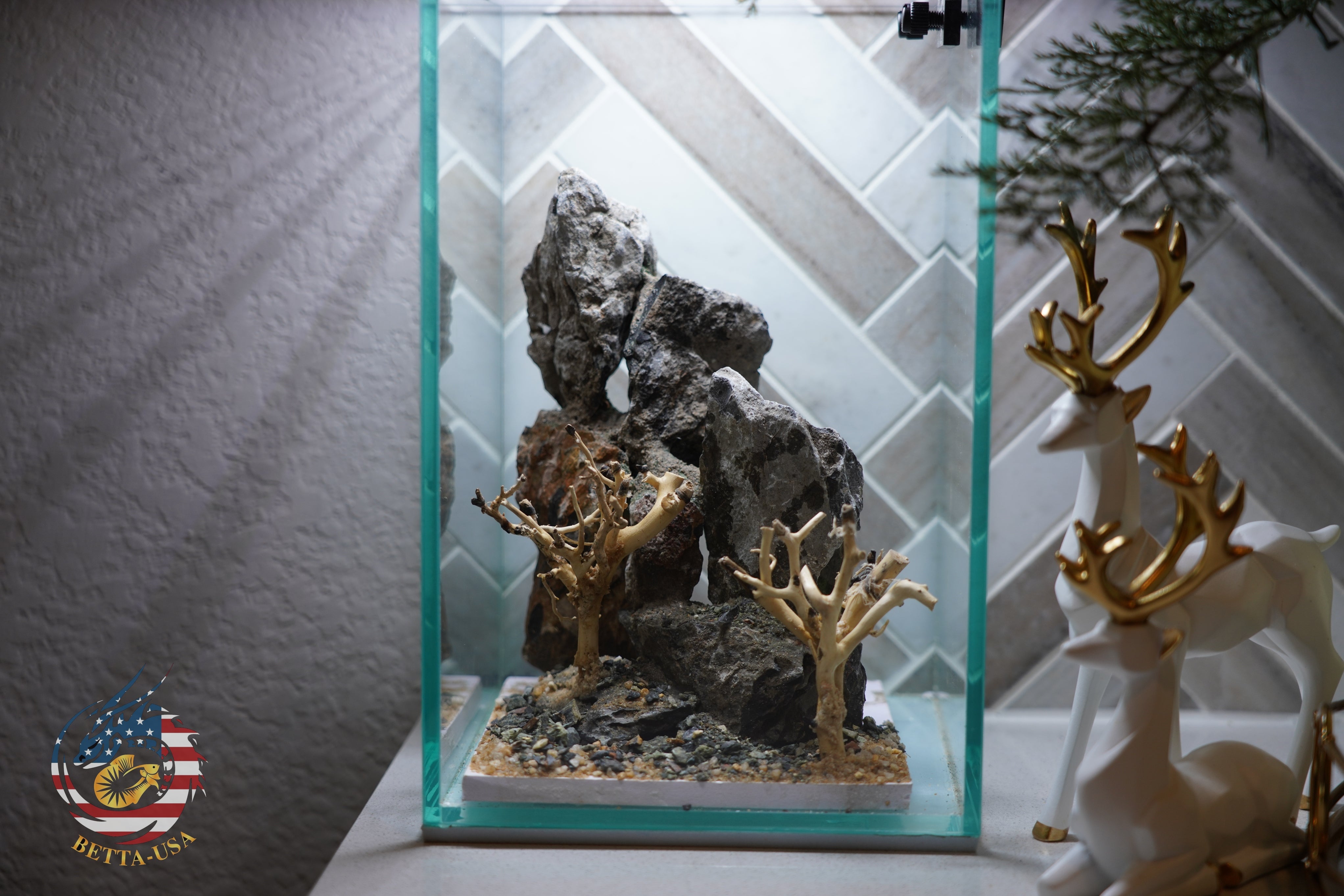 [SCAPE-64] Bonsai On Rock  Nature Aquarium Aquascape– 1.6 Gallons