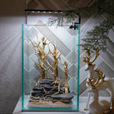 [SCAPE-65] Bonsai On Rock  Nature Aquarium Aquascape– 1.6 Gallons