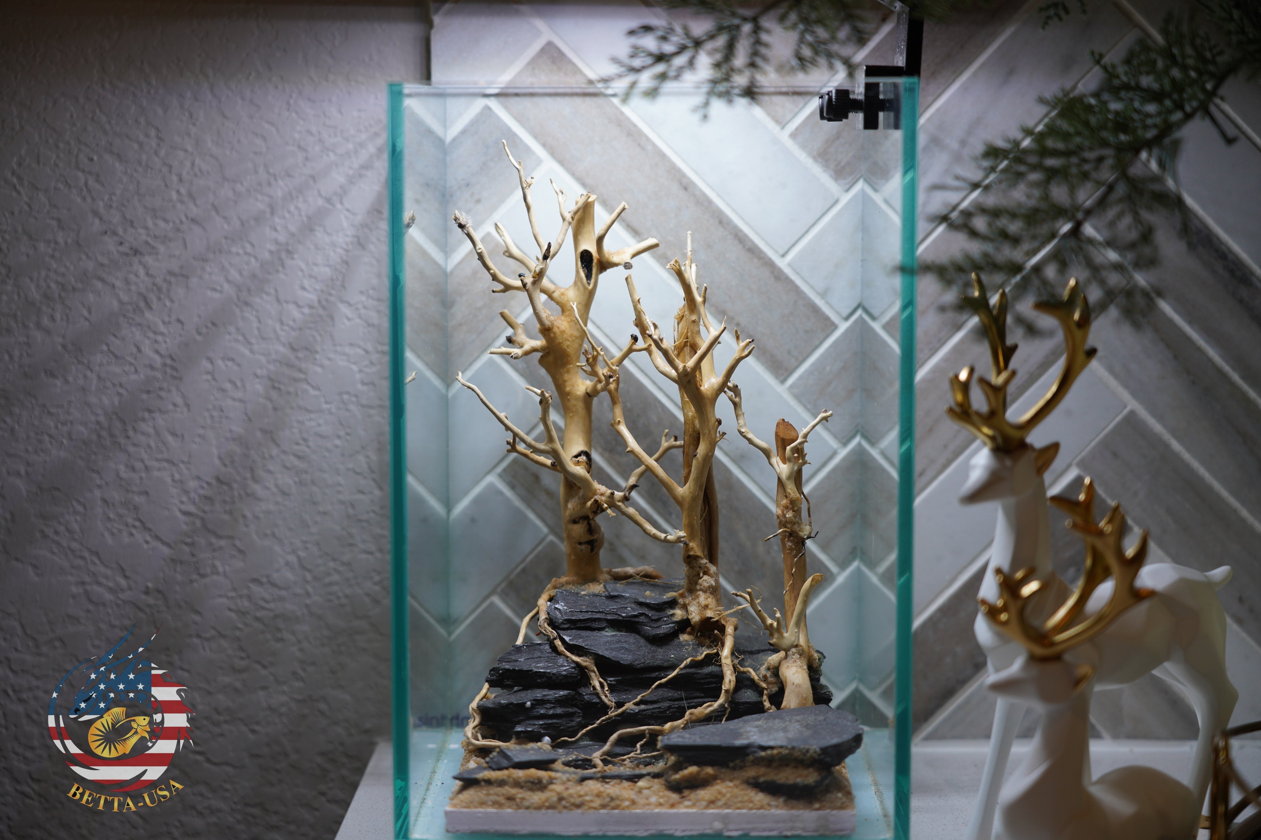 [SCAPE-65] Bonsai On Rock  Nature Aquarium Aquascape– 1.6 Gallons