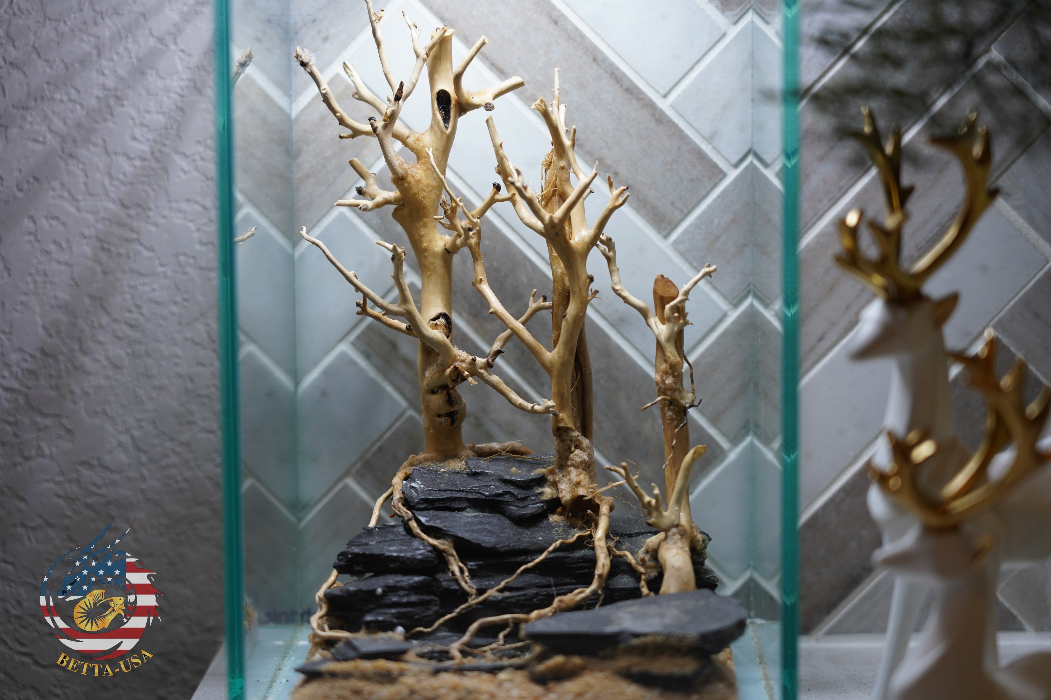 [SCAPE-65] Bonsai On Rock  Nature Aquarium Aquascape– 1.6 Gallons