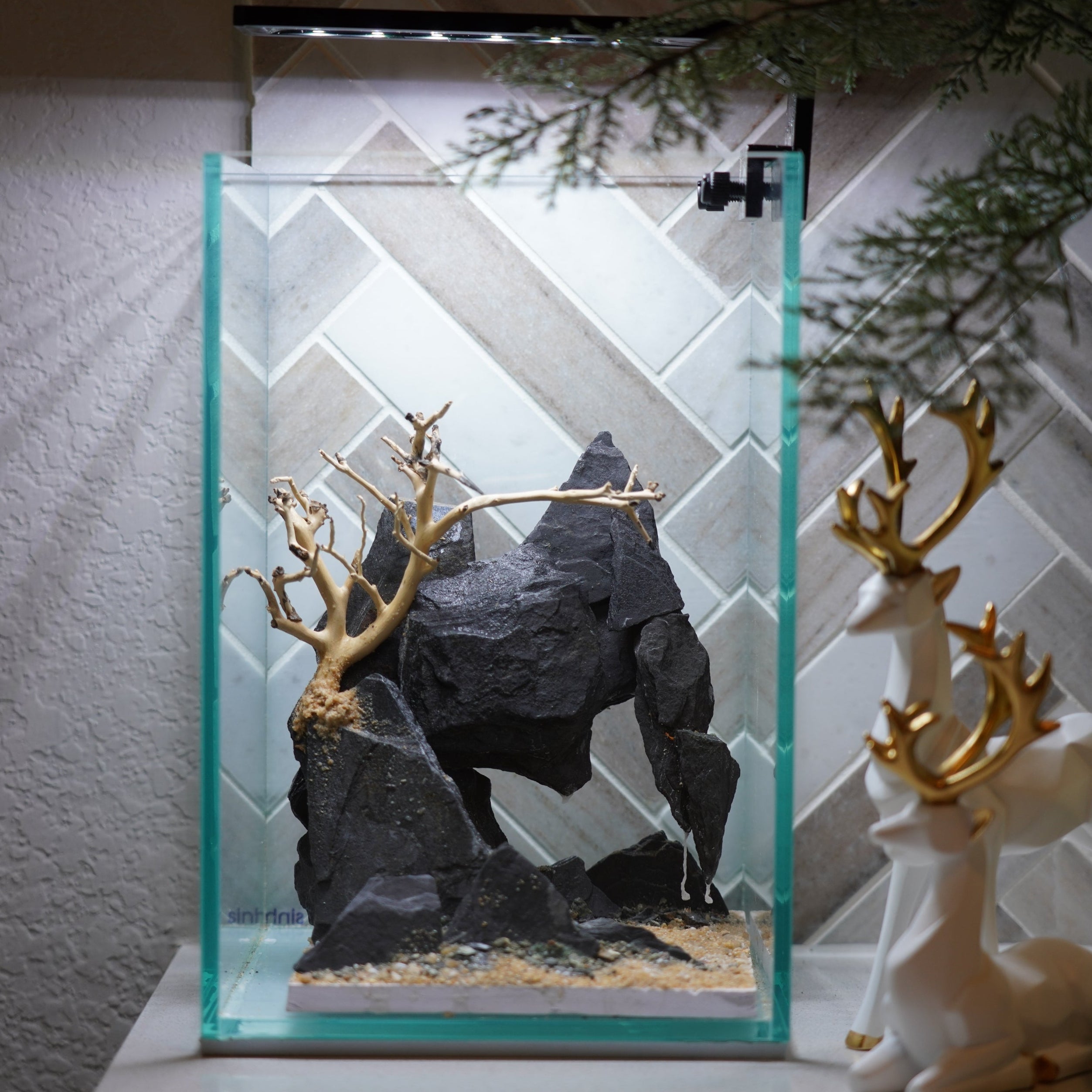 [SCAPE-66] Bonsai On Rock  Nature Aquarium Aquascape– 1.6 Gallons