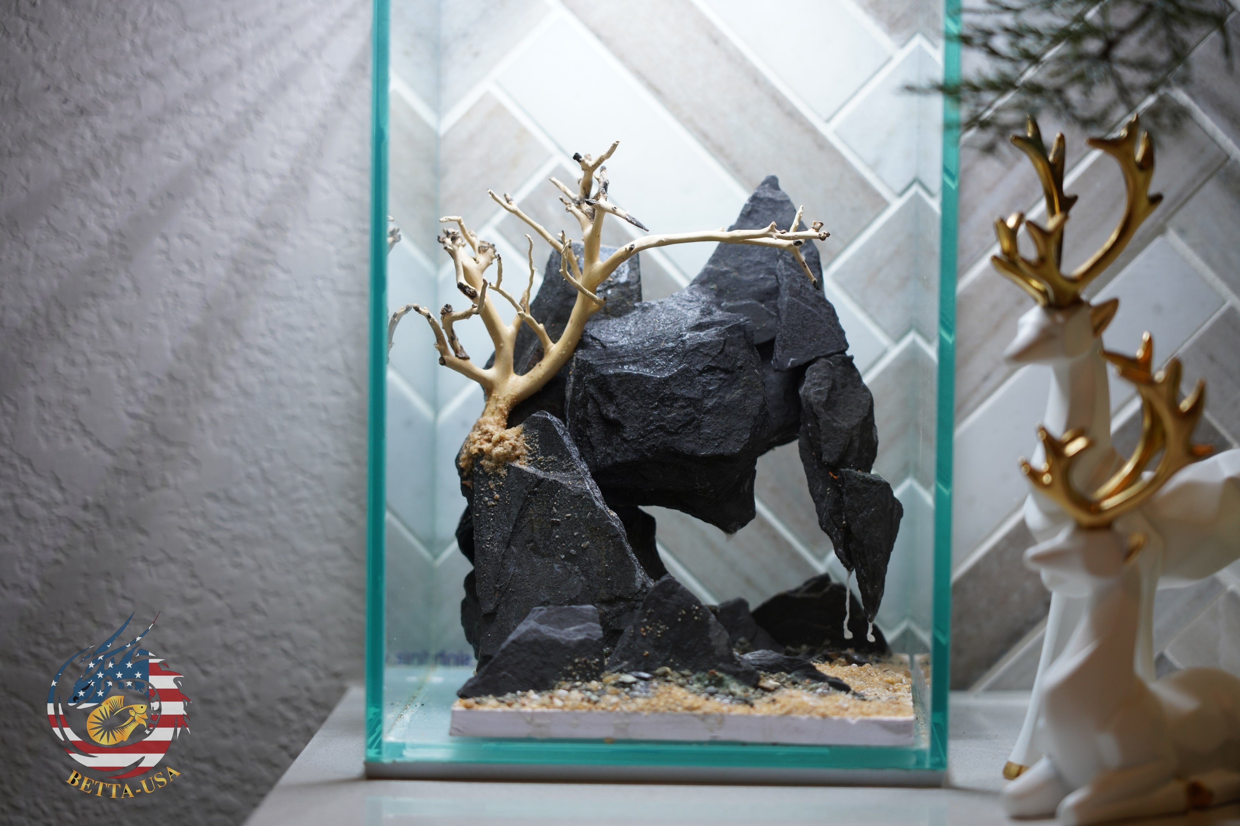 [SCAPE-66] Bonsai On Rock  Nature Aquarium Aquascape– 1.6 Gallons