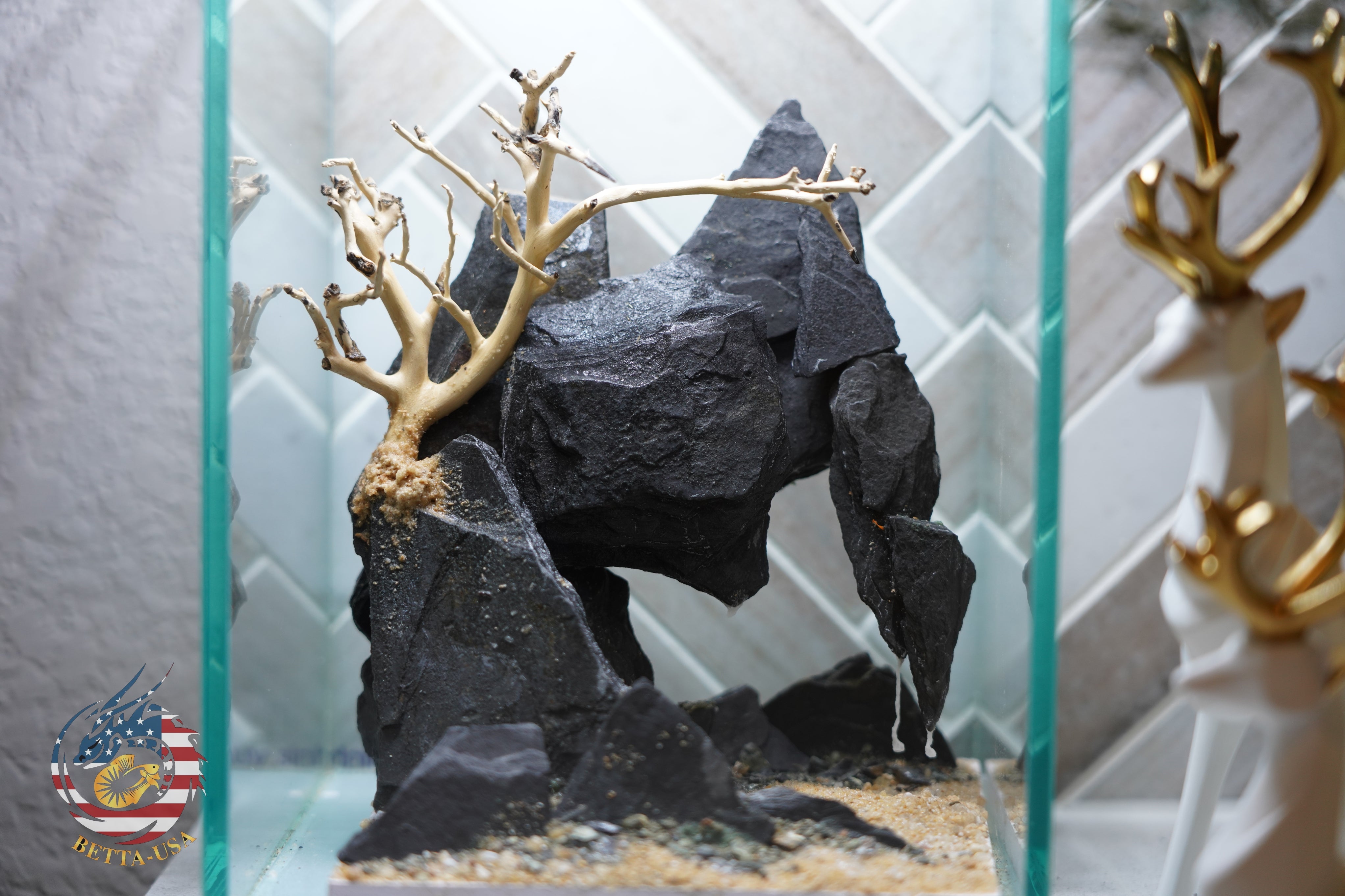 [SCAPE-66] Bonsai On Rock  Nature Aquarium Aquascape– 1.6 Gallons