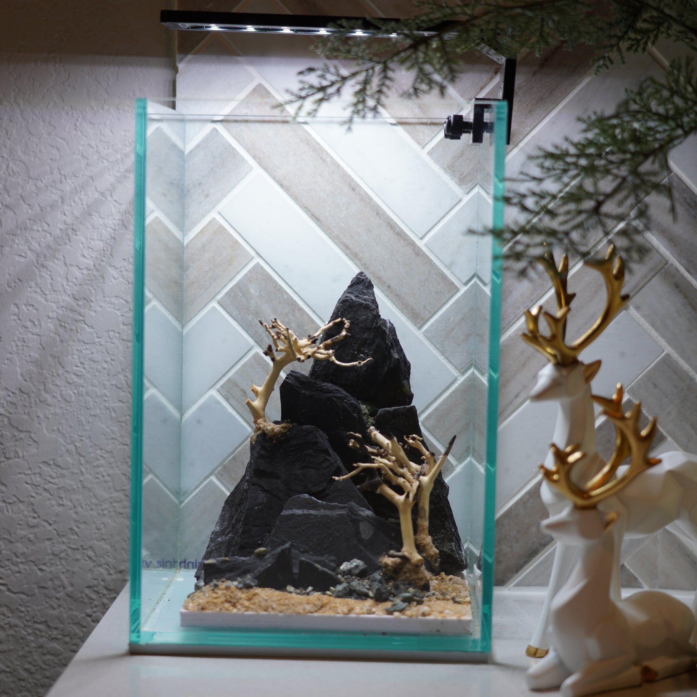 [SCAPE-67] Bonsai On Rock  Nature Aquarium Aquascape– 1.6 Gallons