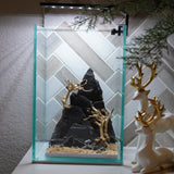 [SCAPE-67] Bonsai On Rock  Nature Aquarium Aquascape– 1.6 Gallons