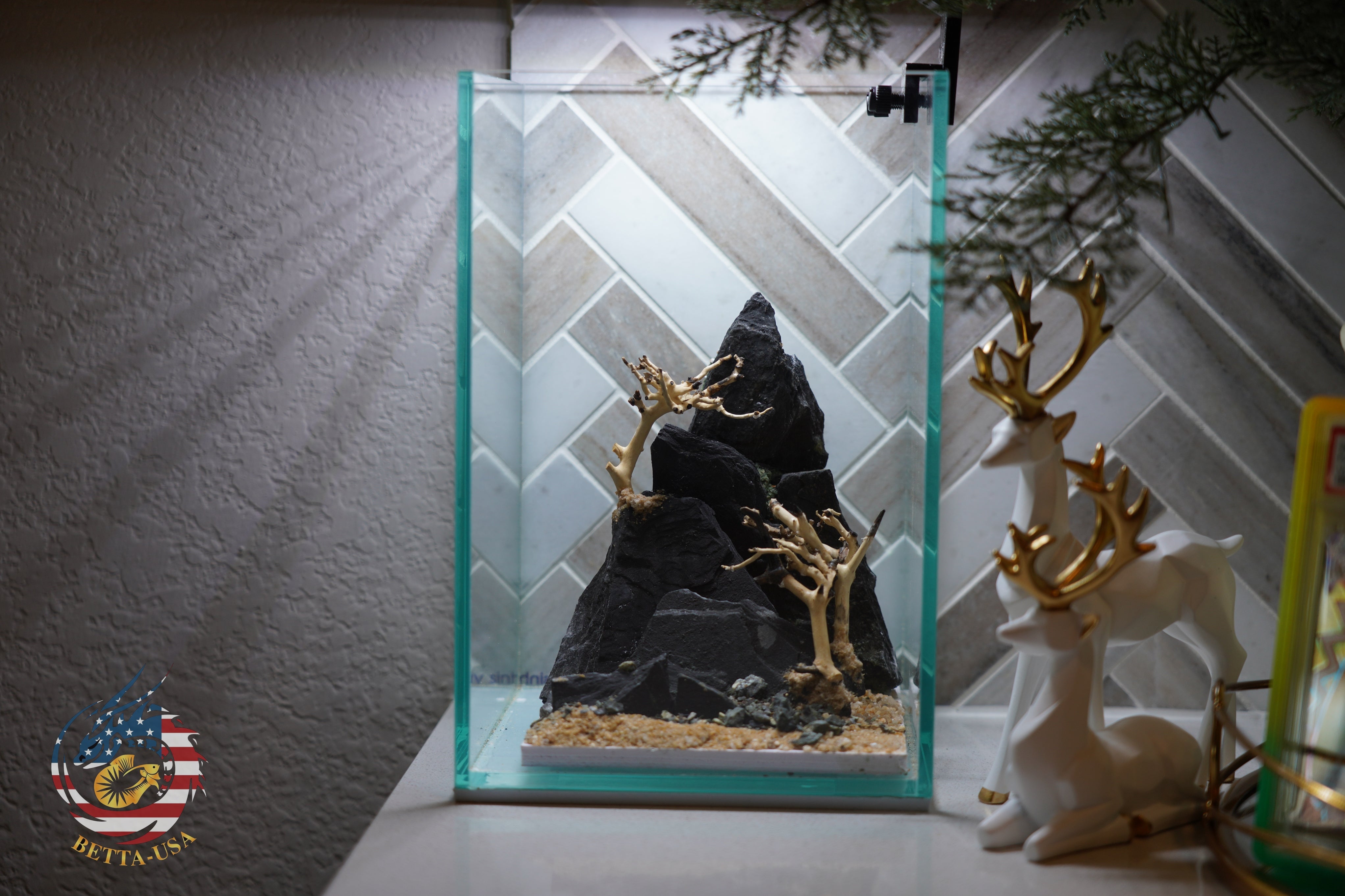 [SCAPE-67] Bonsai On Rock  Nature Aquarium Aquascape– 1.6 Gallons