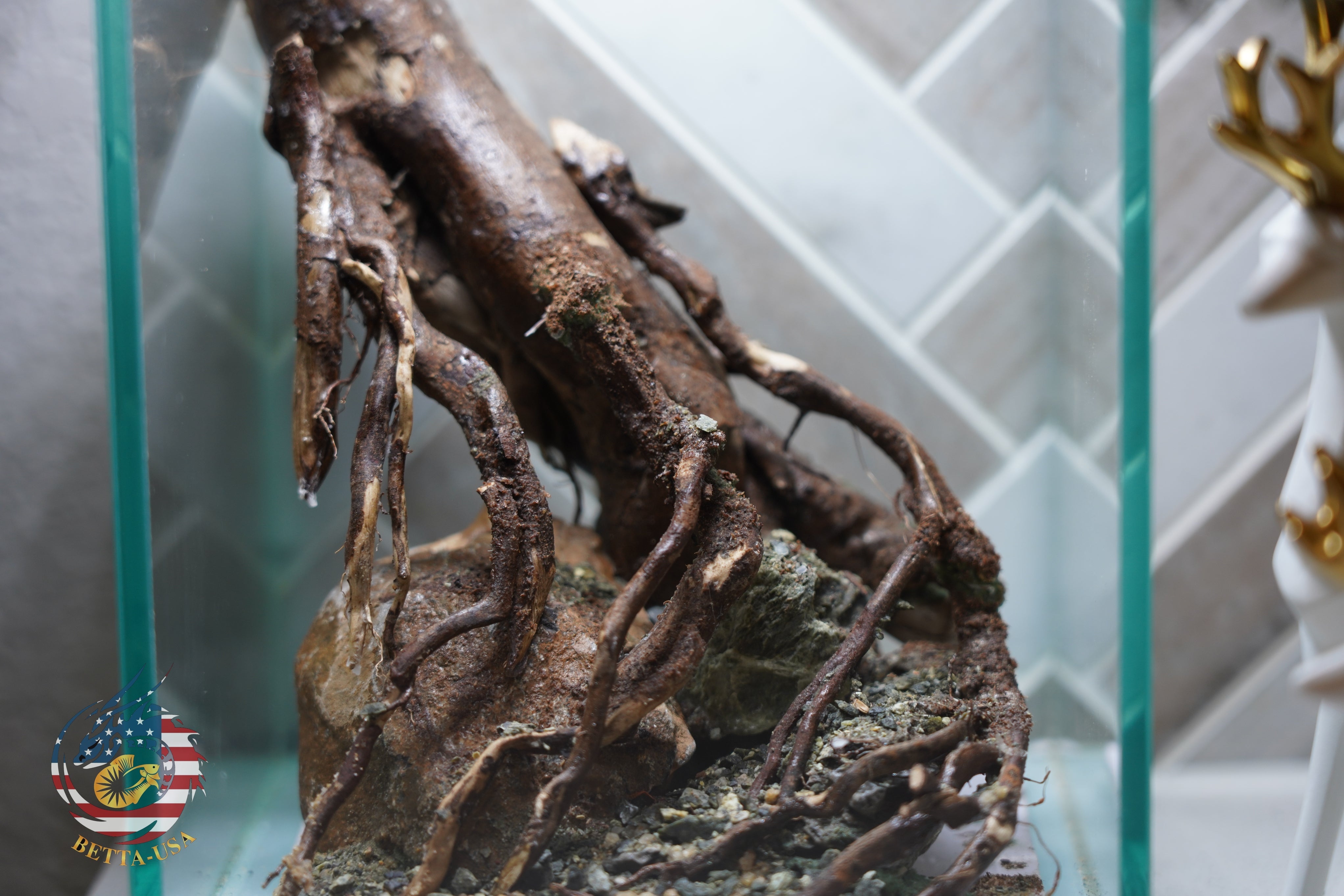 [SCAPE-70] Nature Aquarium Aquascape Driftwood– 1.6 Gallons