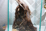 [SCAPE-72] Nature Aquarium Aquascape Driftwood– 1.6 Gallons