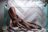 [SCAPE-76] Nature Aquarium Aquascape Driftwood– 2.7 Gallons
