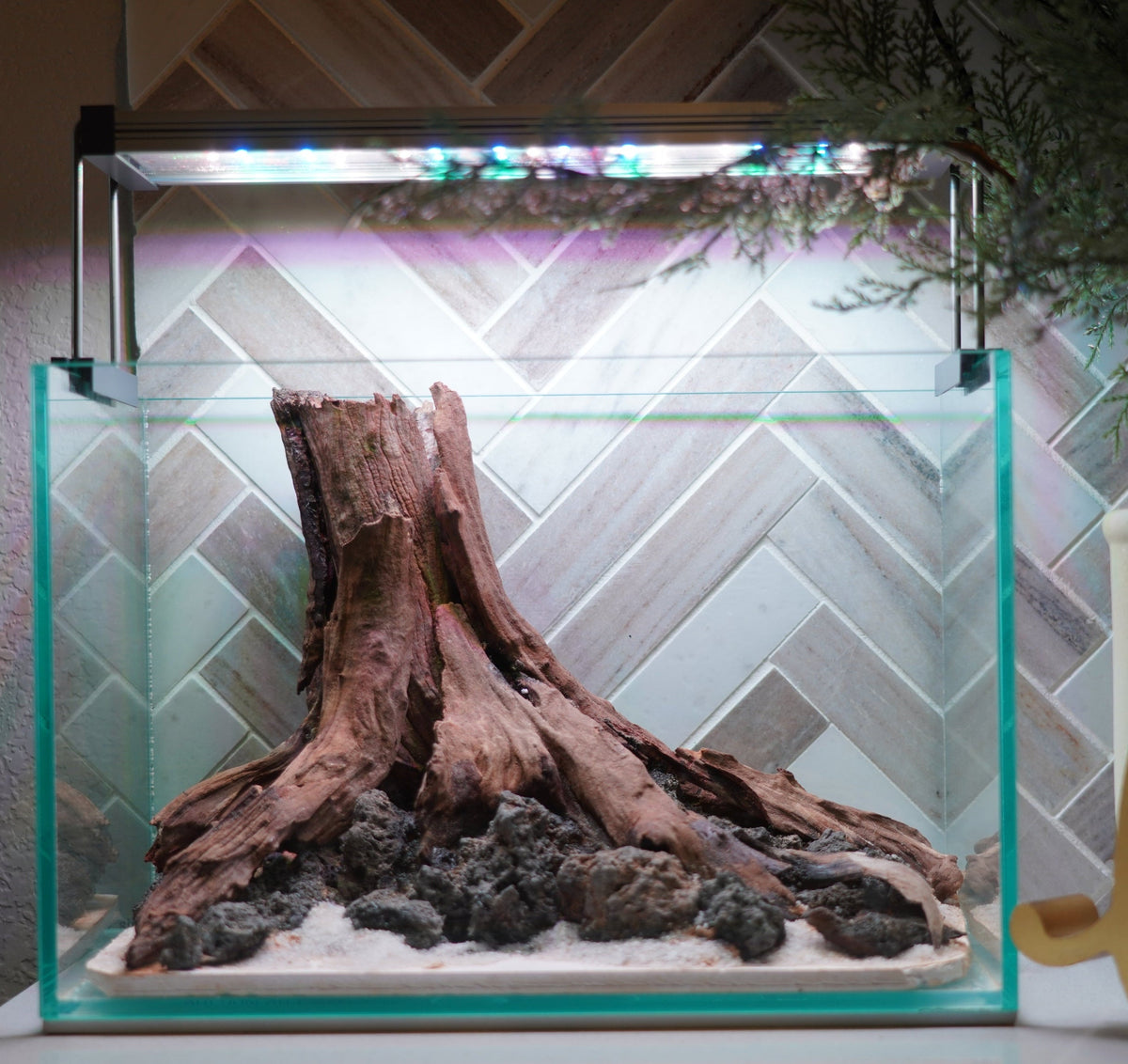 [SCAPE-77] Nature Aquarium Aquascape Driftwood– 2.7 Gallons