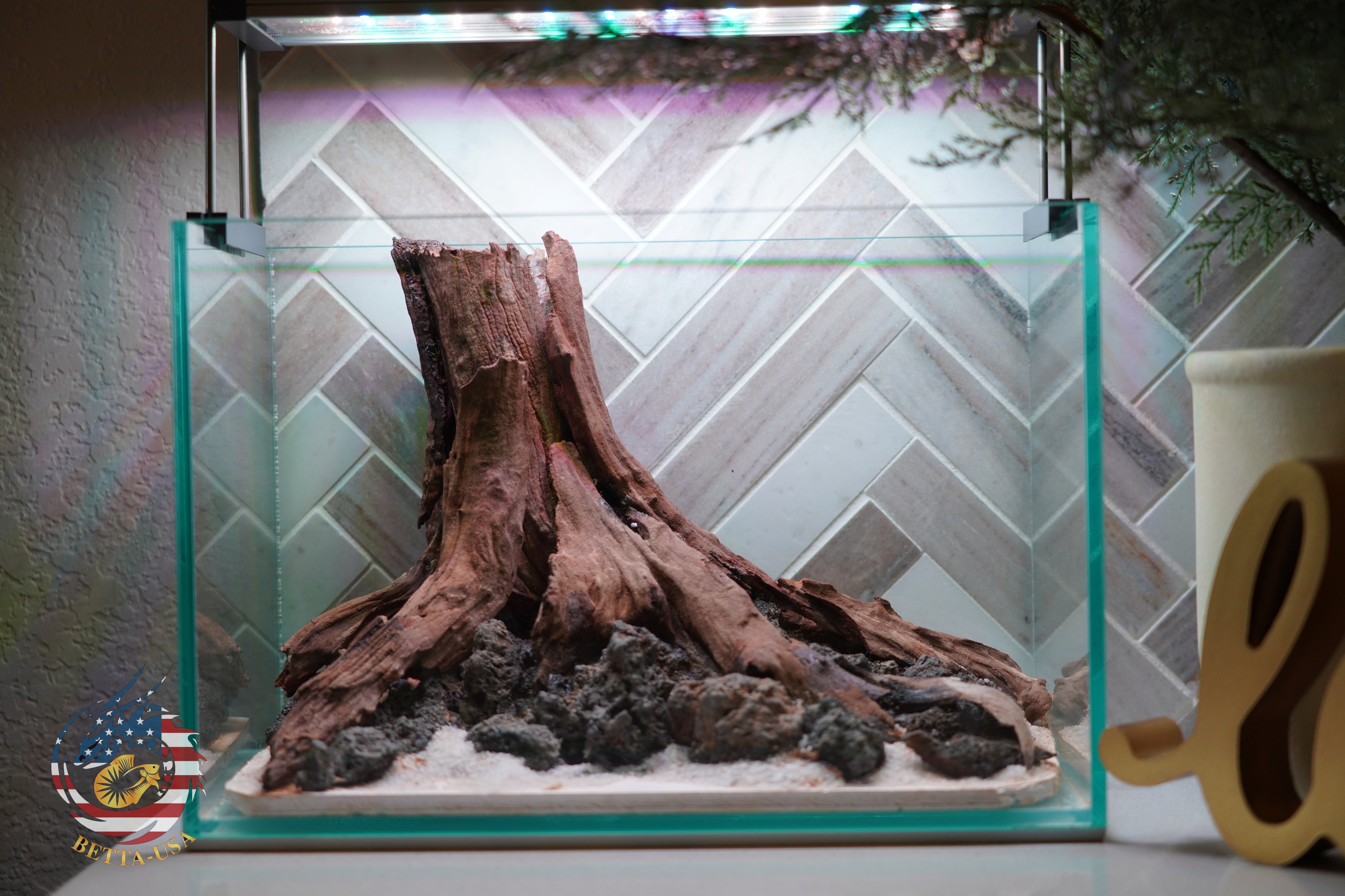 [SCAPE-77] Nature Aquarium Aquascape Driftwood– 2.7 Gallons