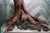 [SCAPE-77] Nature Aquarium Aquascape Driftwood– 2.7 Gallons