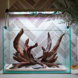 [SCAPE-78] Nature Aquarium Aquascape Driftwood– 2.7 Gallons