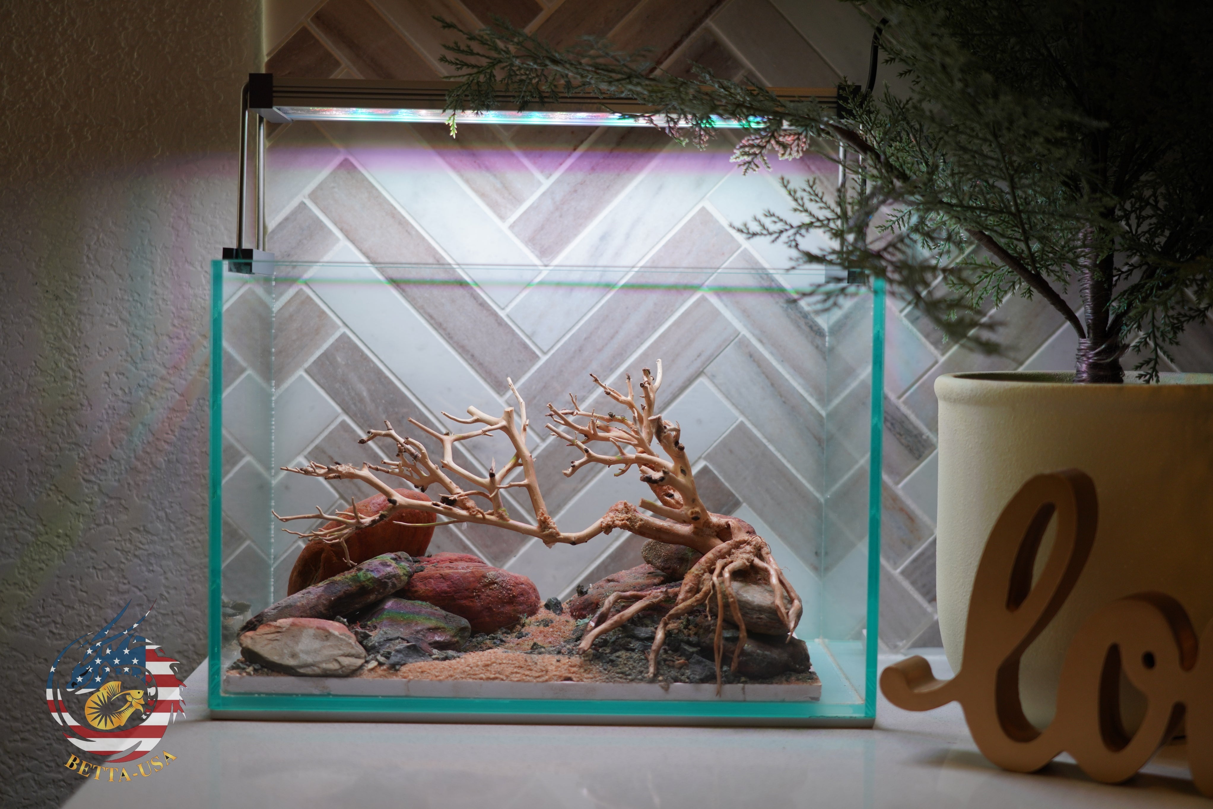 [SCAPE-79] Bonsai On Rock Nature Aquarium Aquascape – 2.7 Gallons