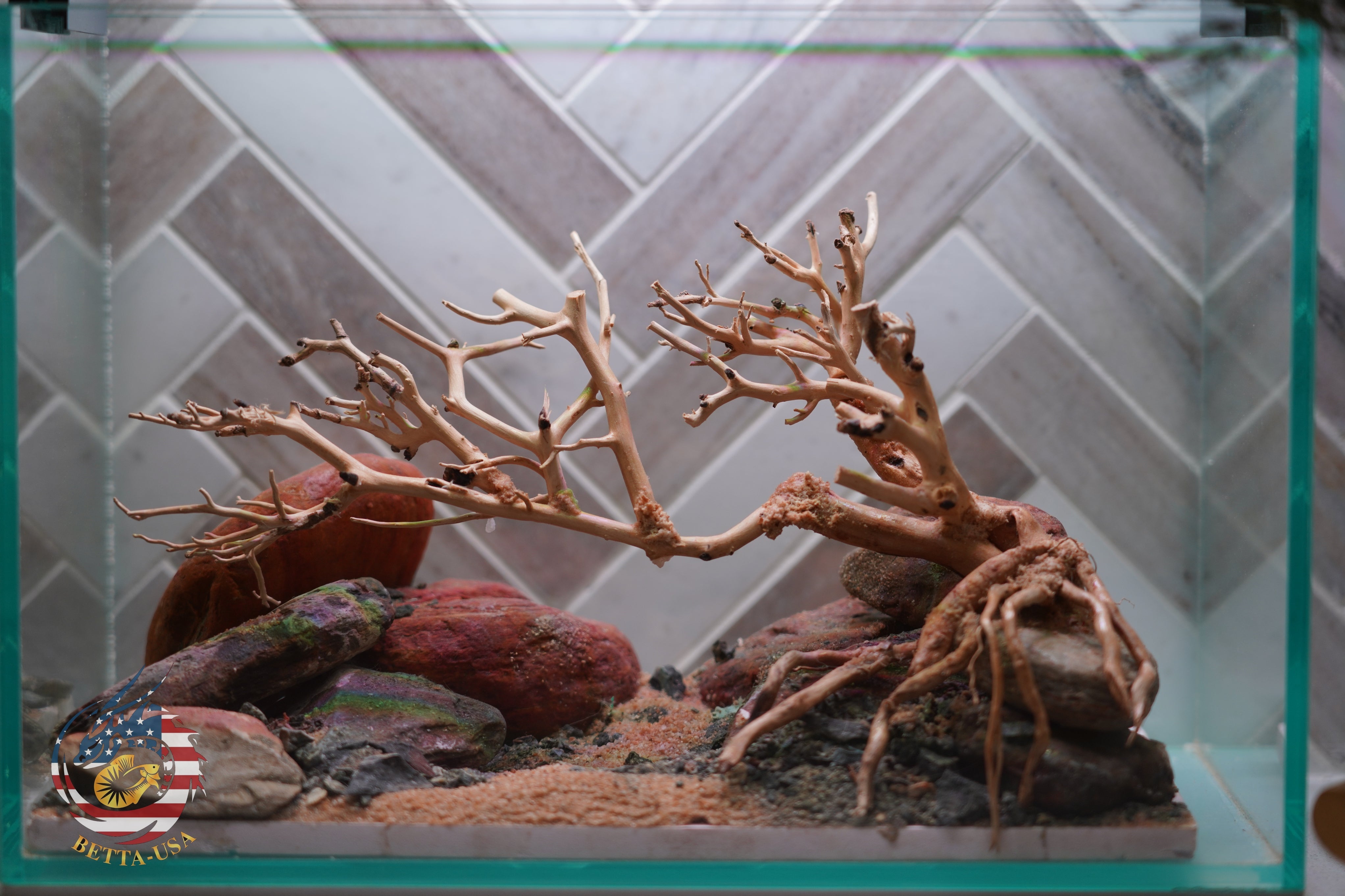 [SCAPE-79] Bonsai On Rock Nature Aquarium Aquascape – 2.7 Gallons