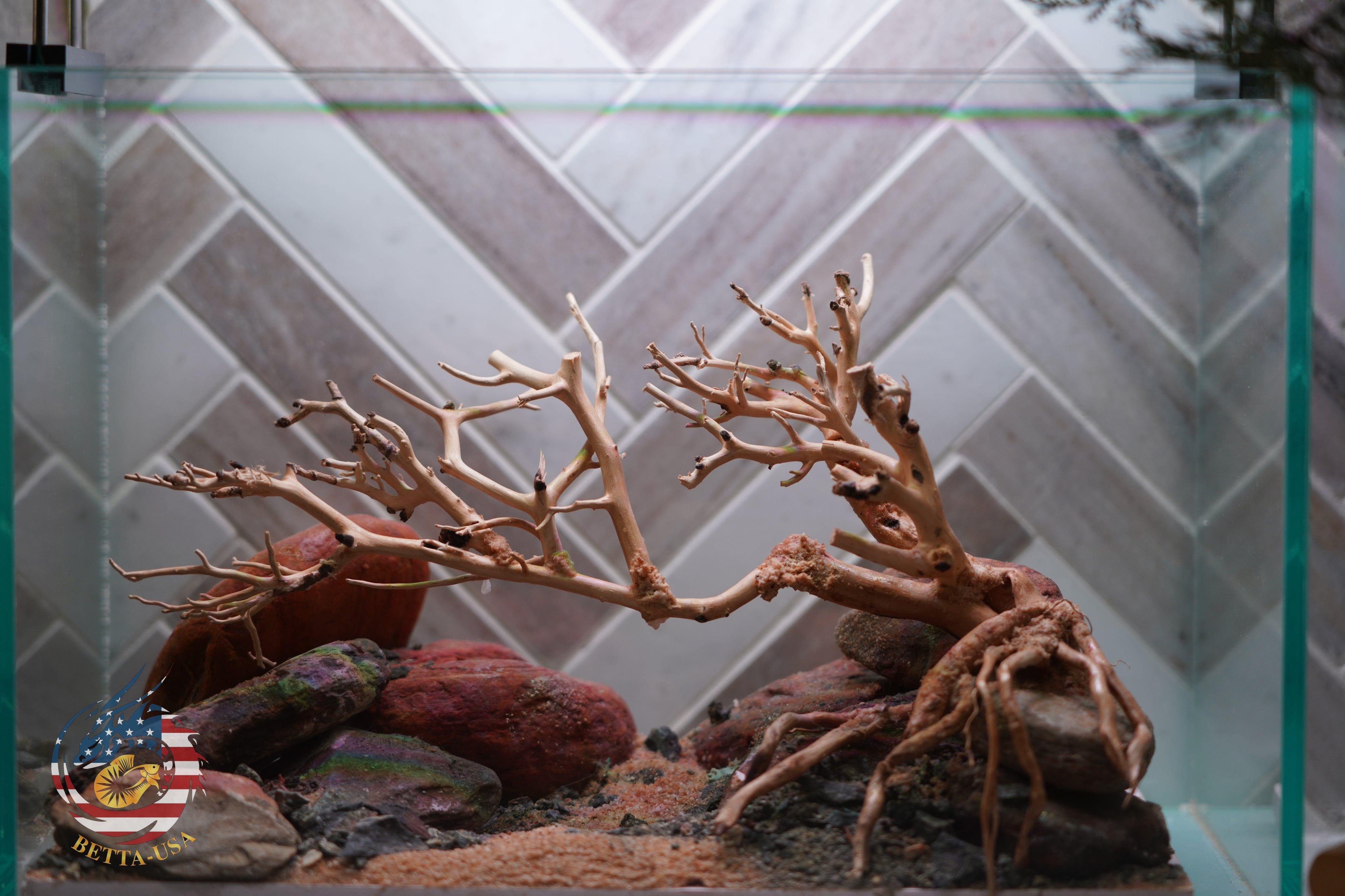 [SCAPE-79] Bonsai On Rock Nature Aquarium Aquascape – 2.7 Gallons