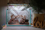 [SCAPE-80] Bonsai On Rock Nature Aquarium Aquascape – 2.7 Gallons