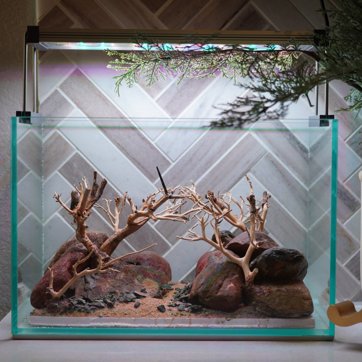 [SCAPE-80] Bonsai On Rock Nature Aquarium Aquascape – 2.7 Gallons