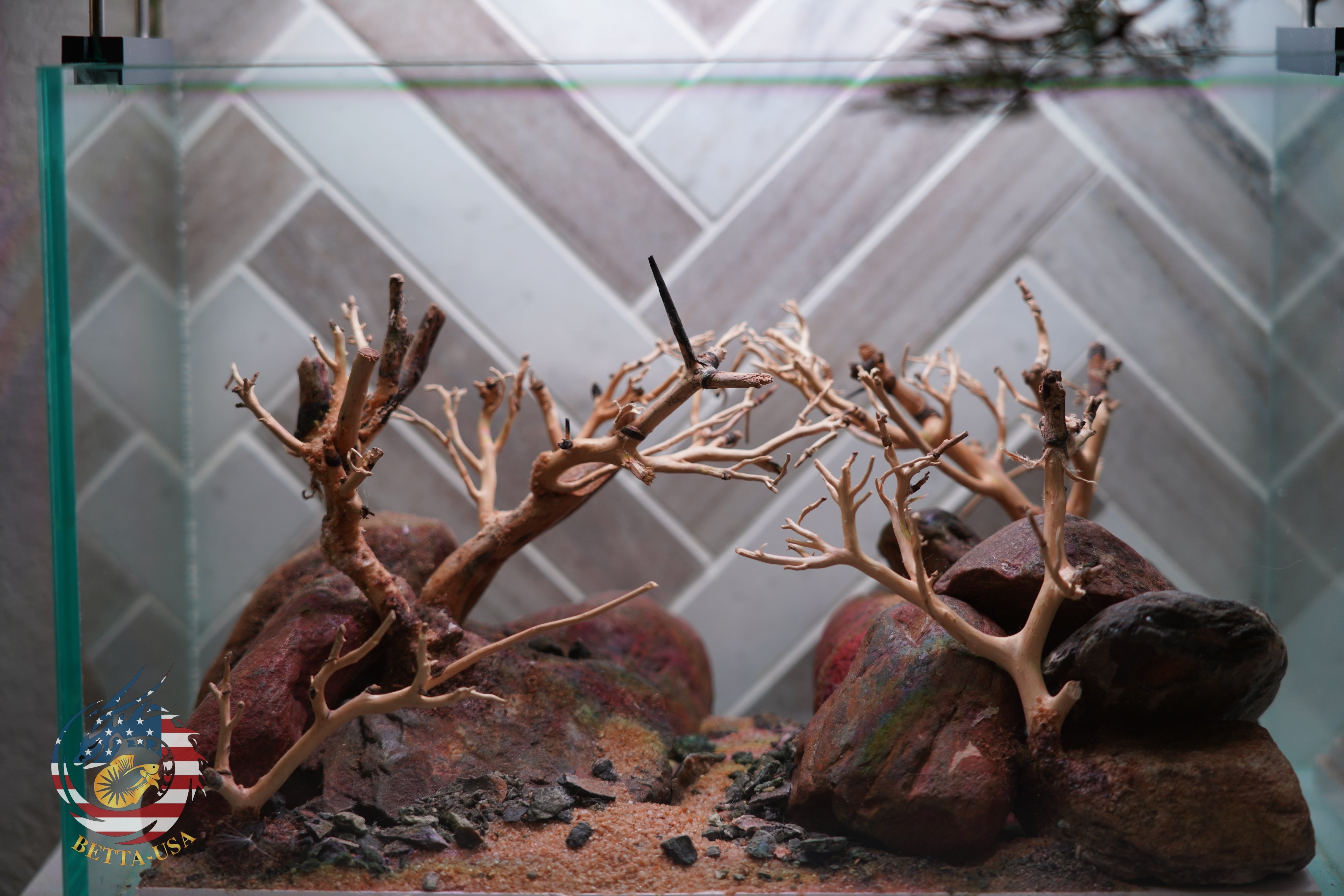 [SCAPE-80] Bonsai On Rock Nature Aquarium Aquascape – 2.7 Gallons