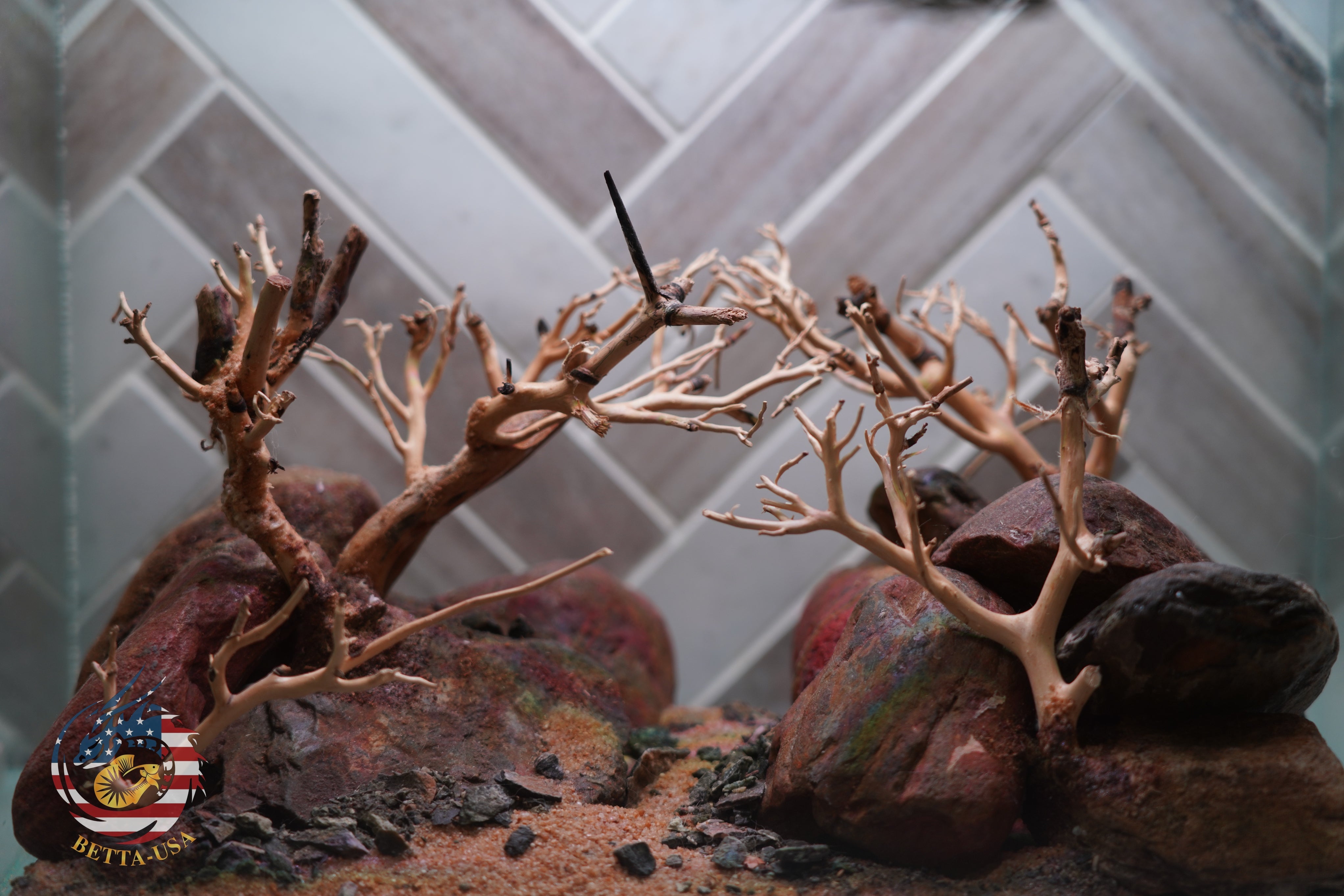 [SCAPE-80] Bonsai On Rock Nature Aquarium Aquascape – 2.7 Gallons