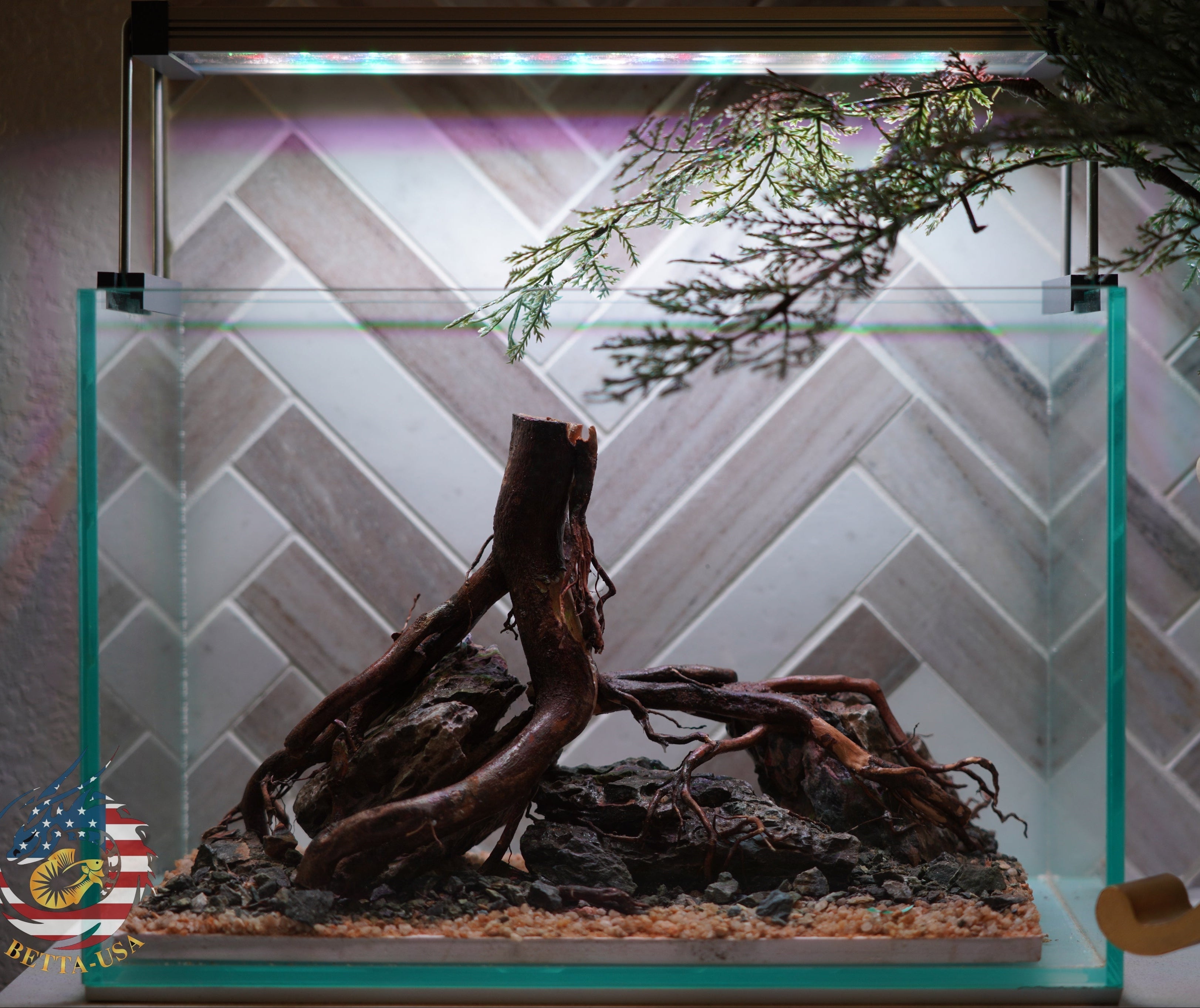 [SCAPE-81]  Nature Aquarium Aquascape Driftwood– 2.7 Gallons