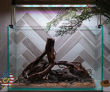 [SCAPE-81]  Nature Aquarium Aquascape Driftwood– 2.7 Gallons