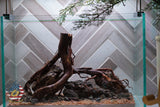 [SCAPE-81]  Nature Aquarium Aquascape Driftwood– 2.7 Gallons