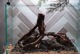 [SCAPE-81]  Nature Aquarium Aquascape Driftwood– 2.7 Gallons