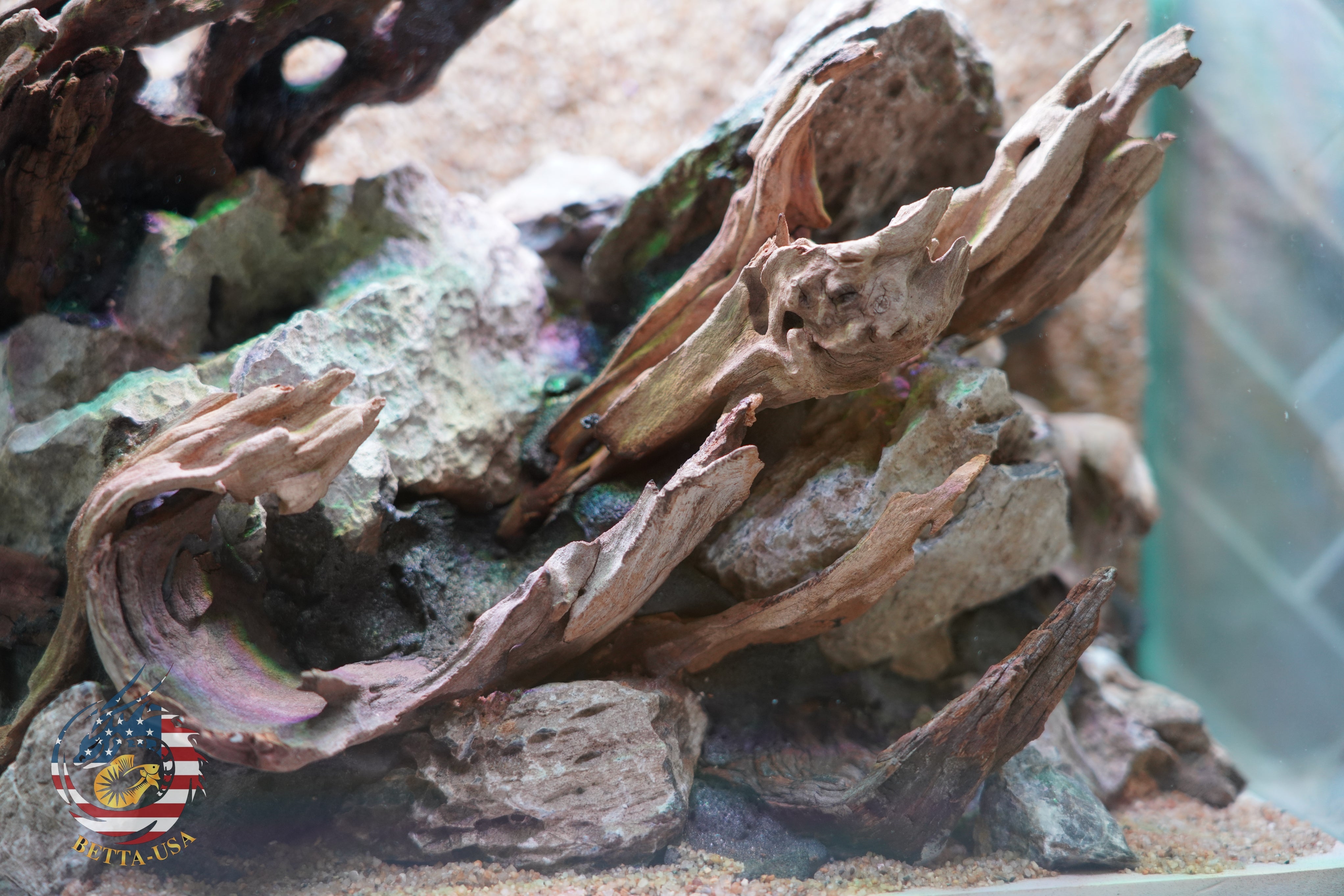 [SCAPE-83]  Nature Aquarium Aquascape Driftwood– 2.7 Gallons