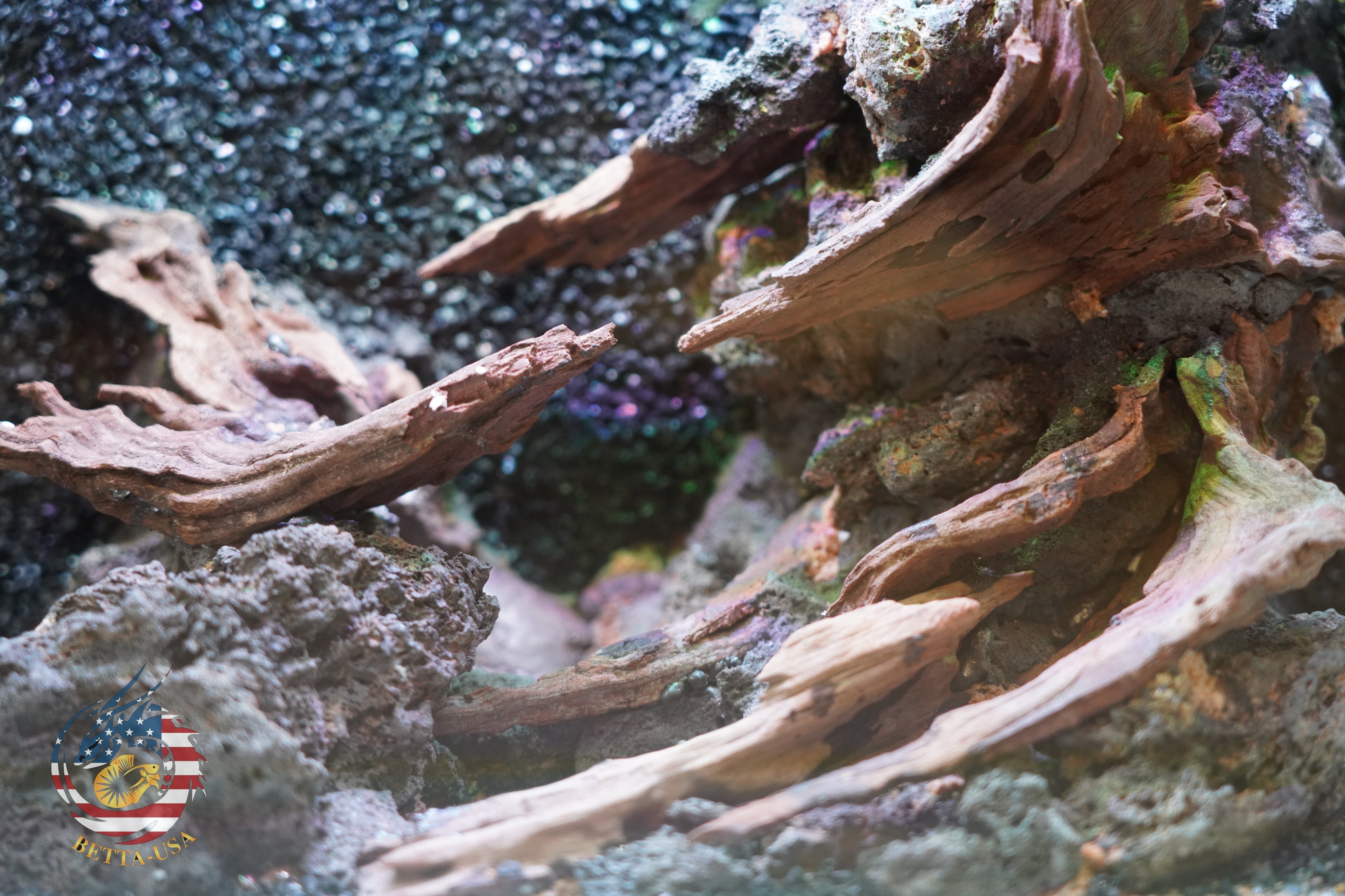 [SCAPE-84]  Nature Aquarium Aquascape Driftwood– 2.7 Gallons