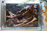 [SCAPE-84]  Nature Aquarium Aquascape Driftwood– 2.7 Gallons