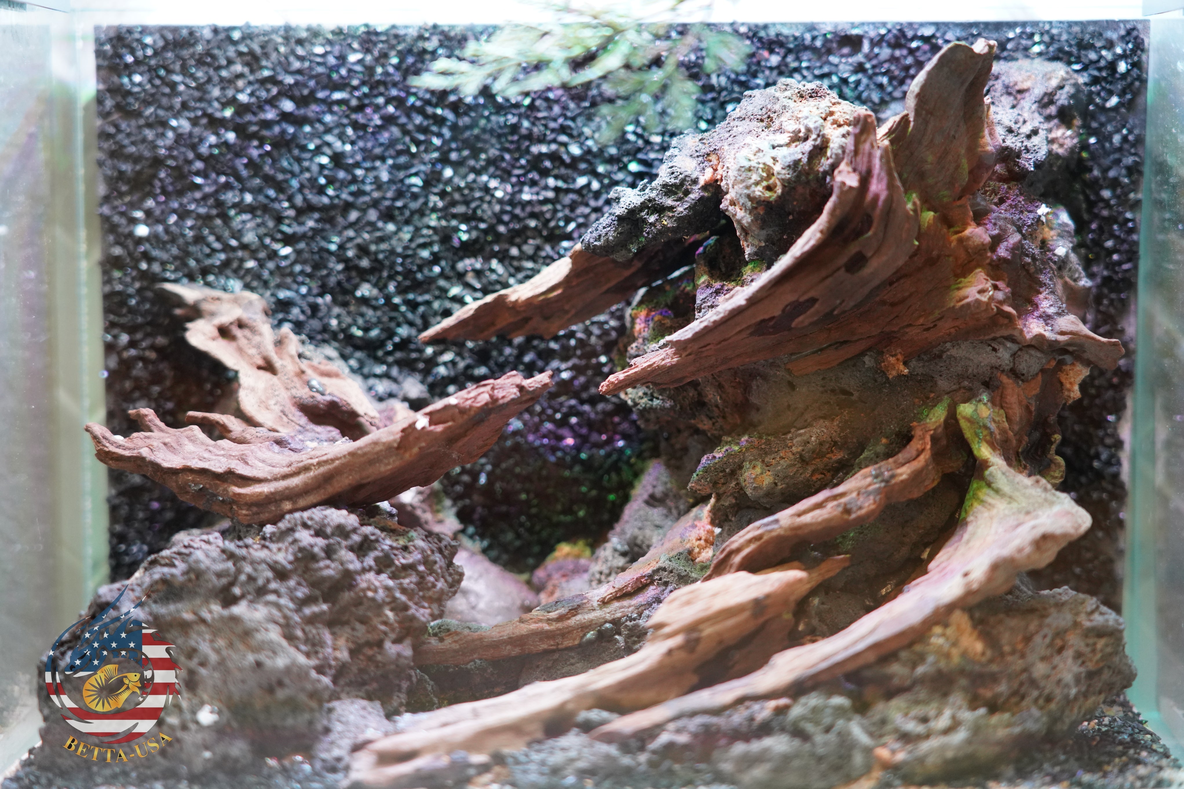 [SCAPE-84]  Nature Aquarium Aquascape Driftwood– 2.7 Gallons