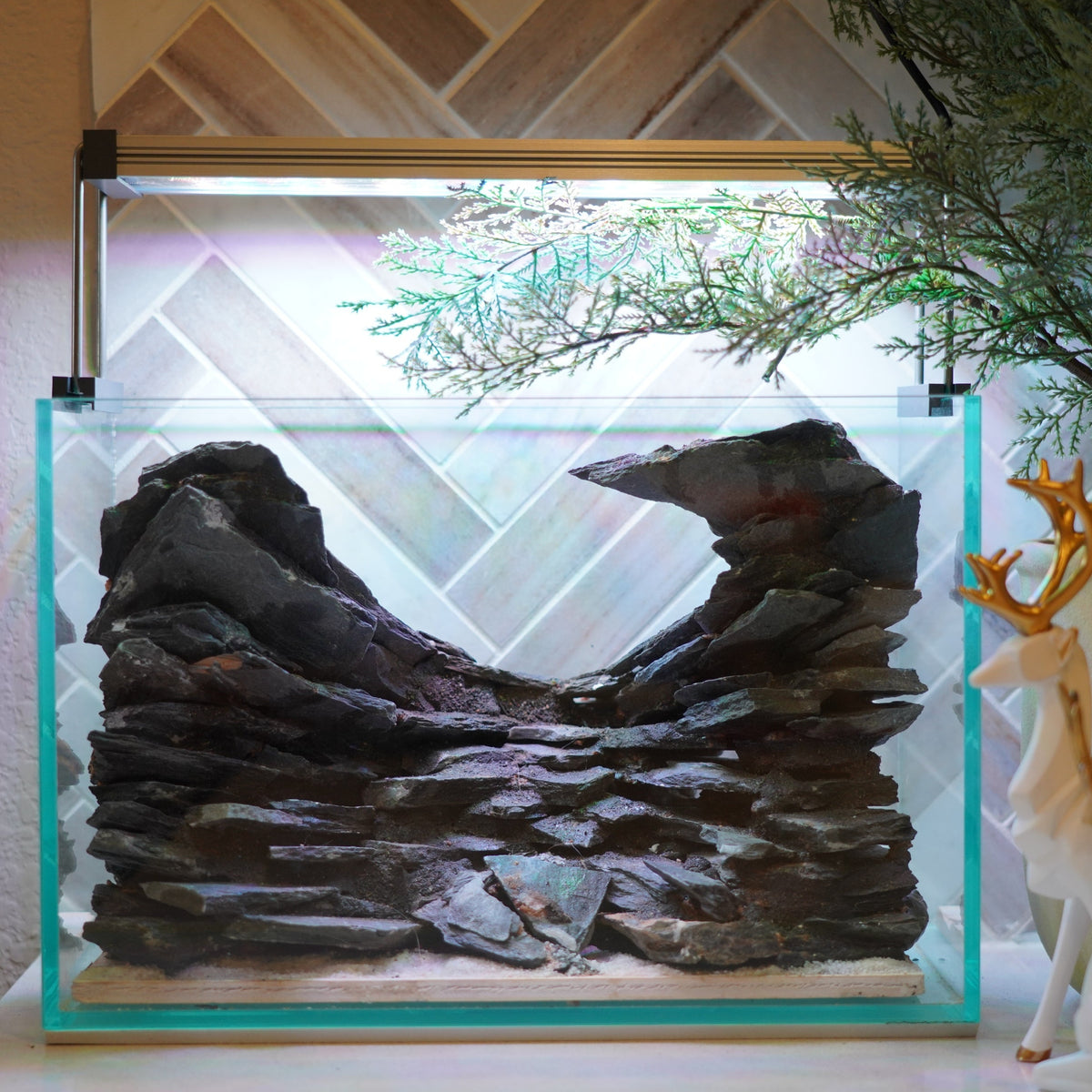 [SCAPE-85] Mountain-Inspired Aquarium Aquascape – 2.7 Gallons