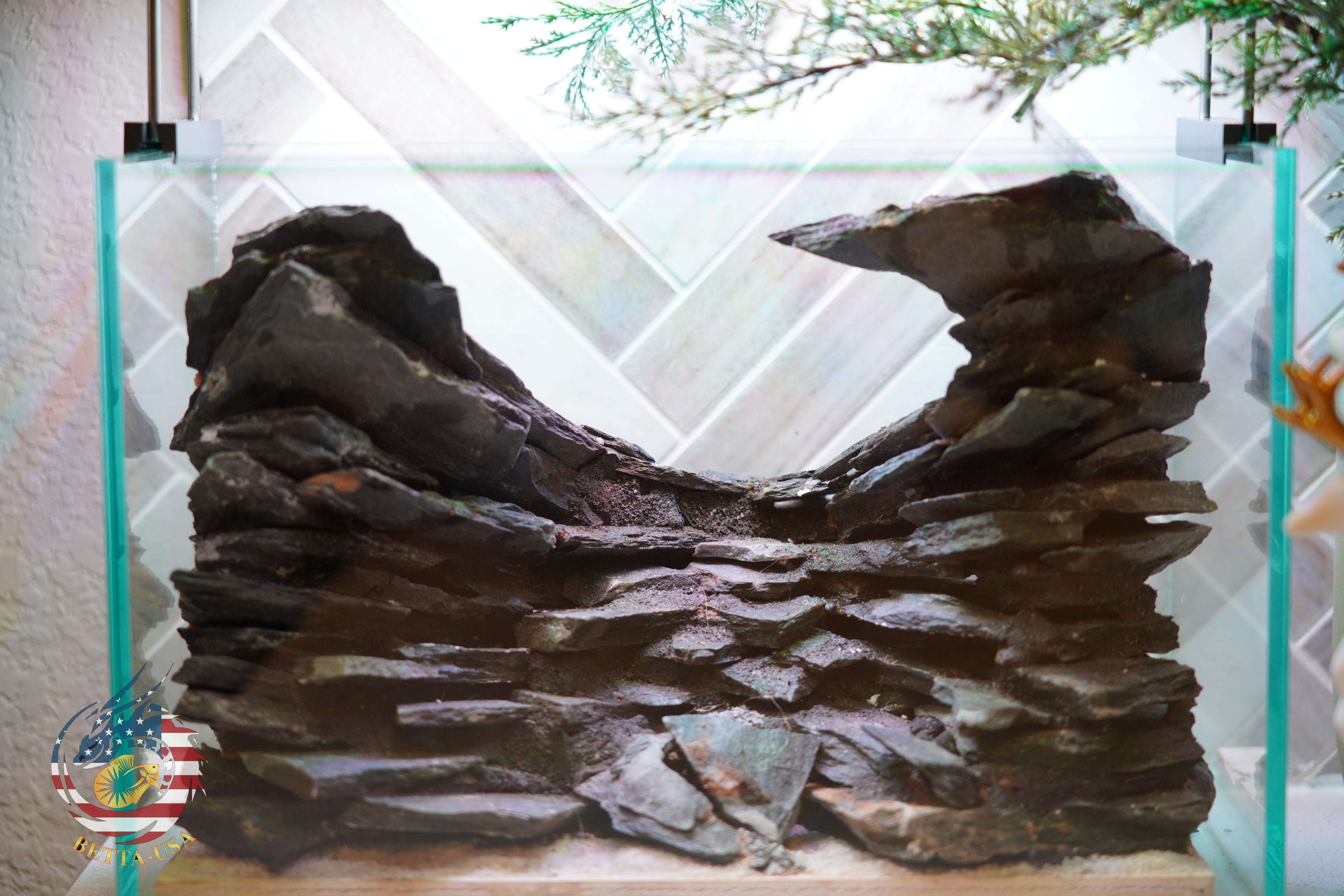 [SCAPE-85] Mountain-Inspired Aquarium Aquascape – 2.7 Gallons