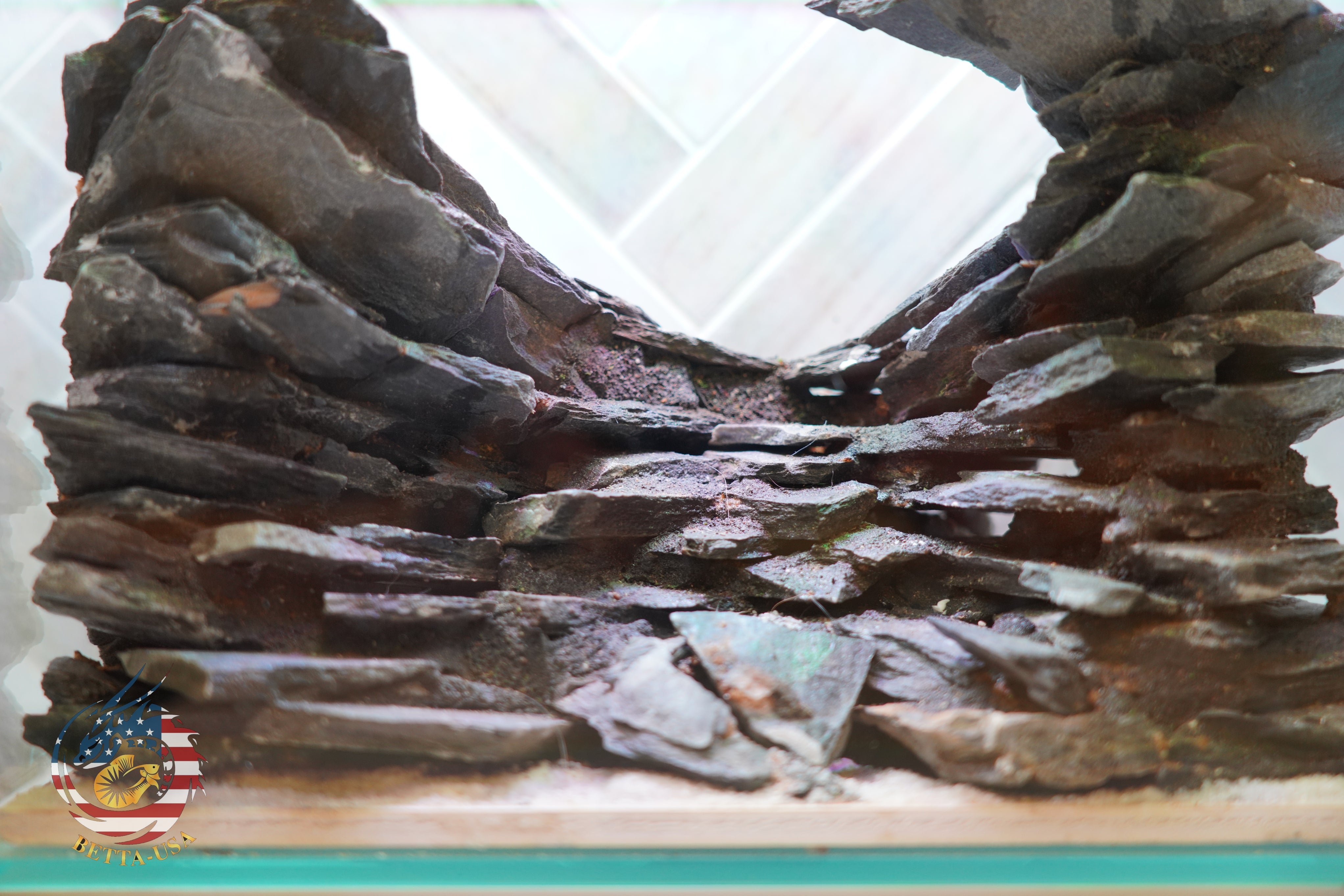 [SCAPE-85] Mountain-Inspired Aquarium Aquascape – 2.7 Gallons