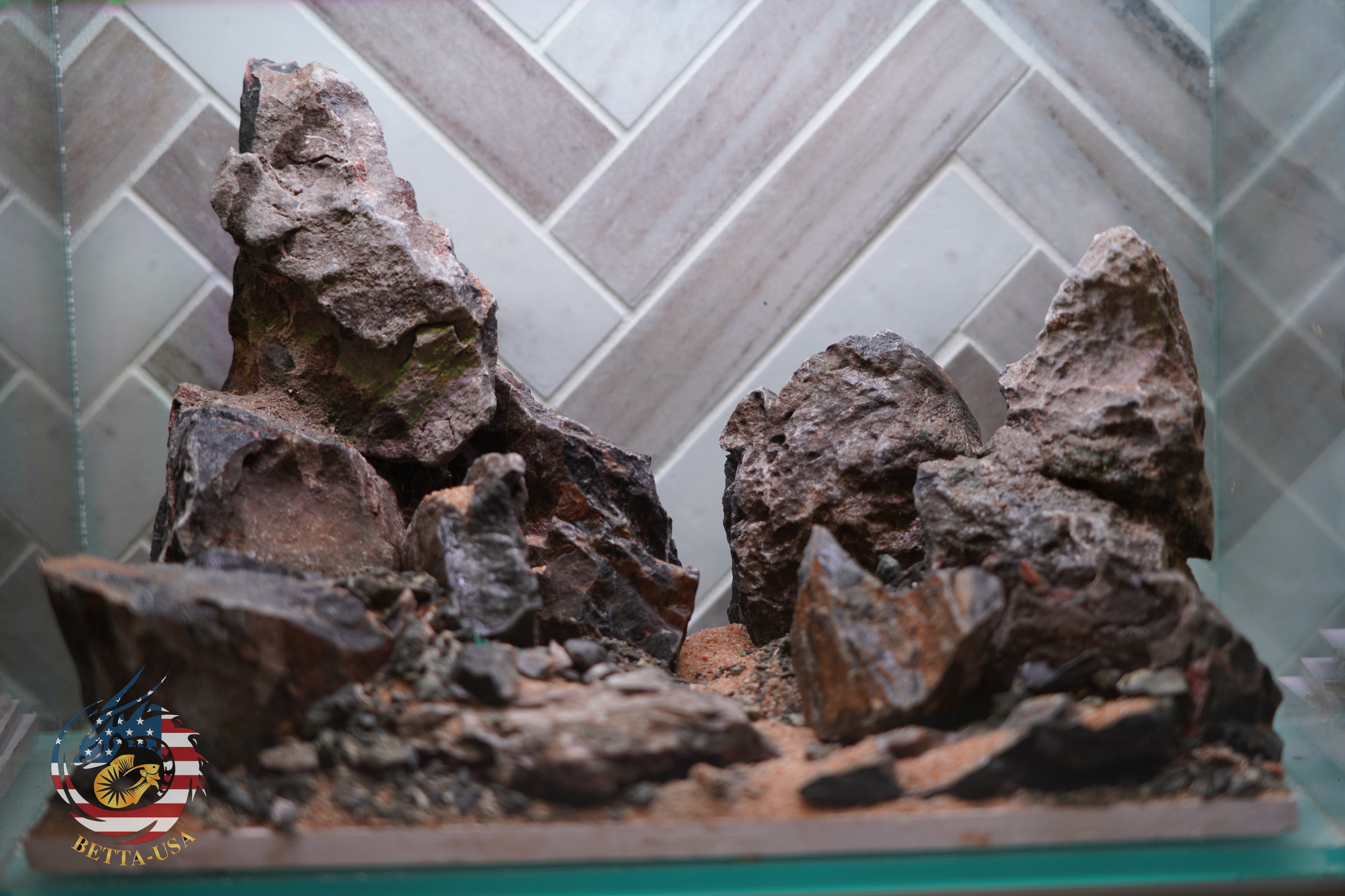 [SCAPE-86] Mountain-Inspired Aquarium Aquascape – 2.7 Gallons