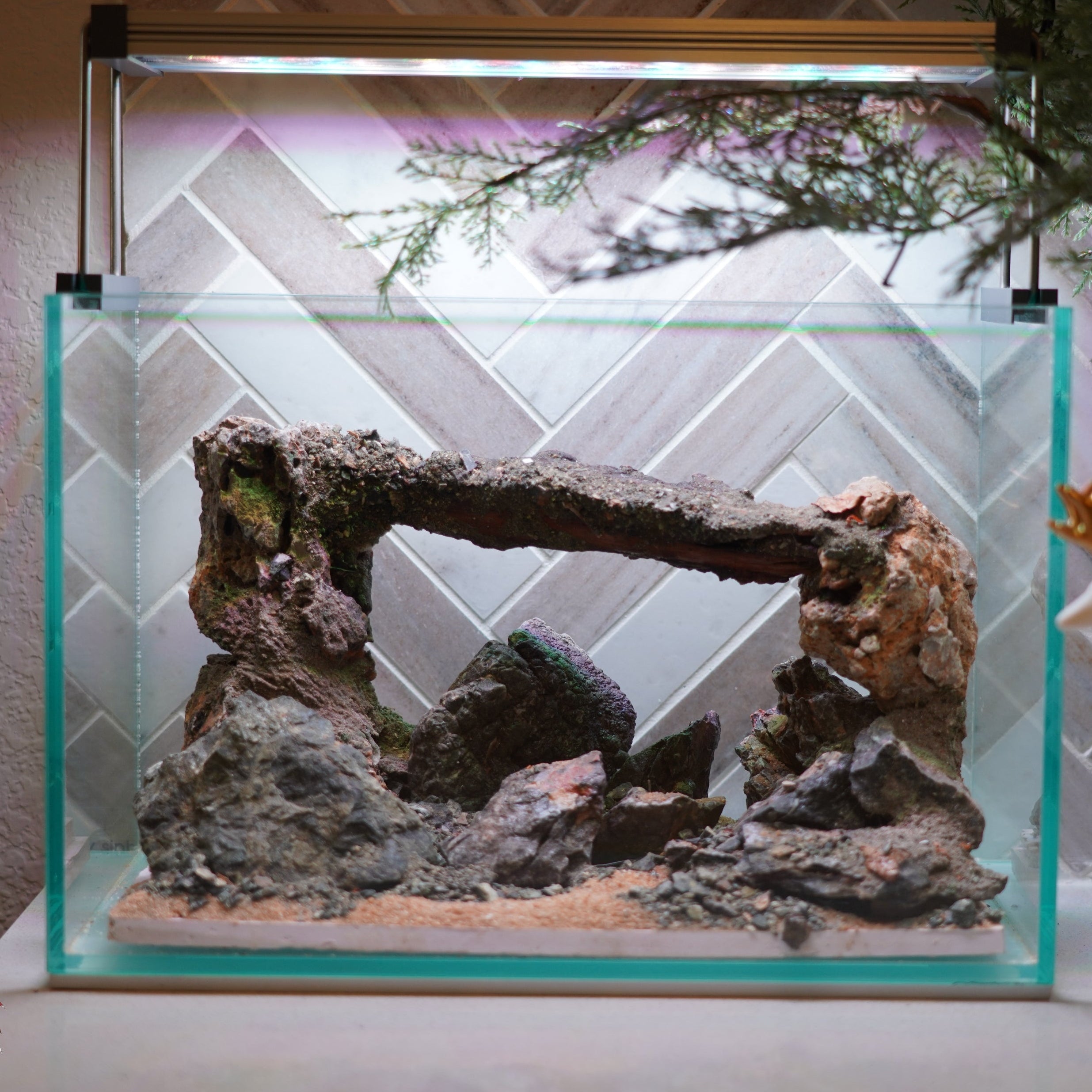 [SCAPE-87] Mountain-Inspired Aquarium Aquascape – 2.7 Gallons