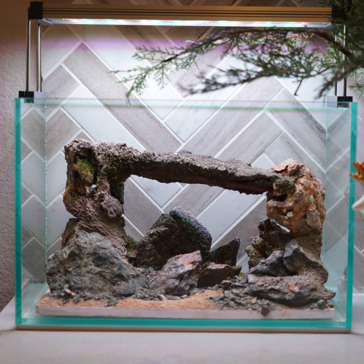 [SCAPE-87] Mountain-Inspired Aquarium Aquascape – 2.7 Gallons