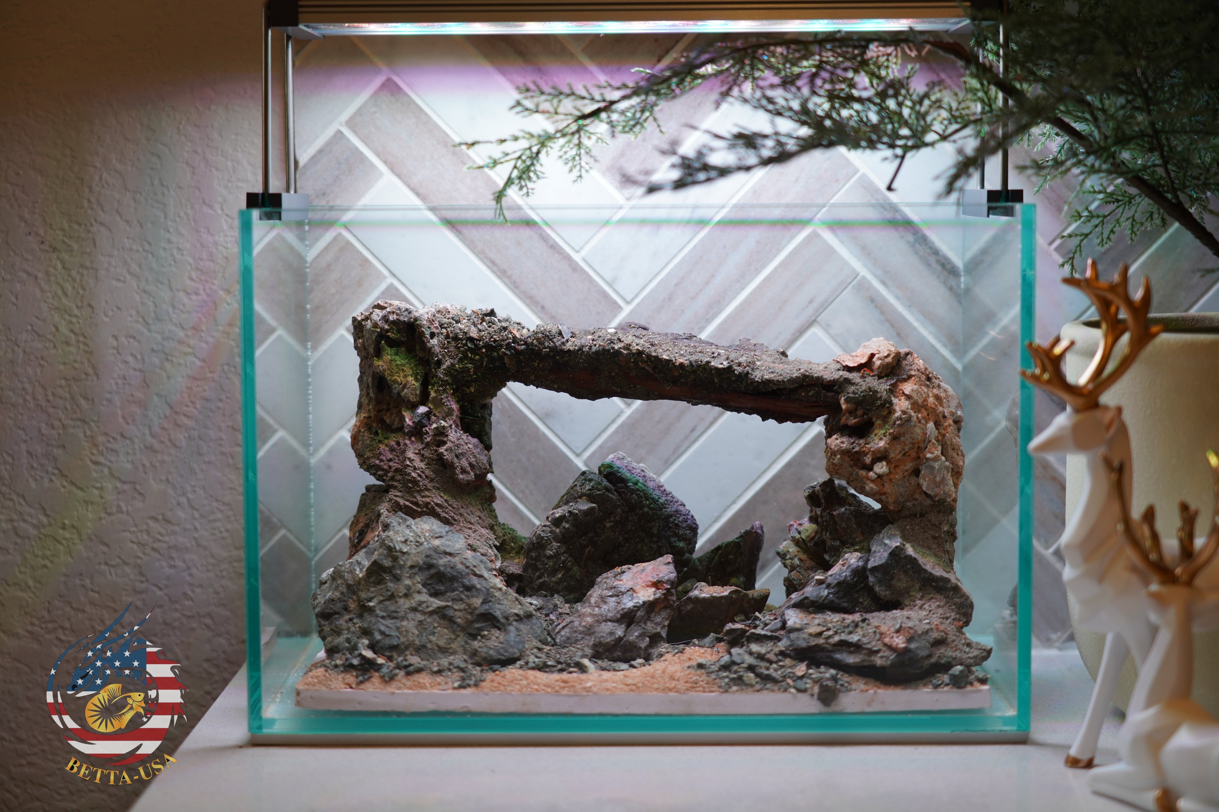 [SCAPE-87] Mountain-Inspired Aquarium Aquascape – 2.7 Gallons