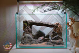 [SCAPE-87] Mountain-Inspired Aquarium Aquascape – 2.7 Gallons