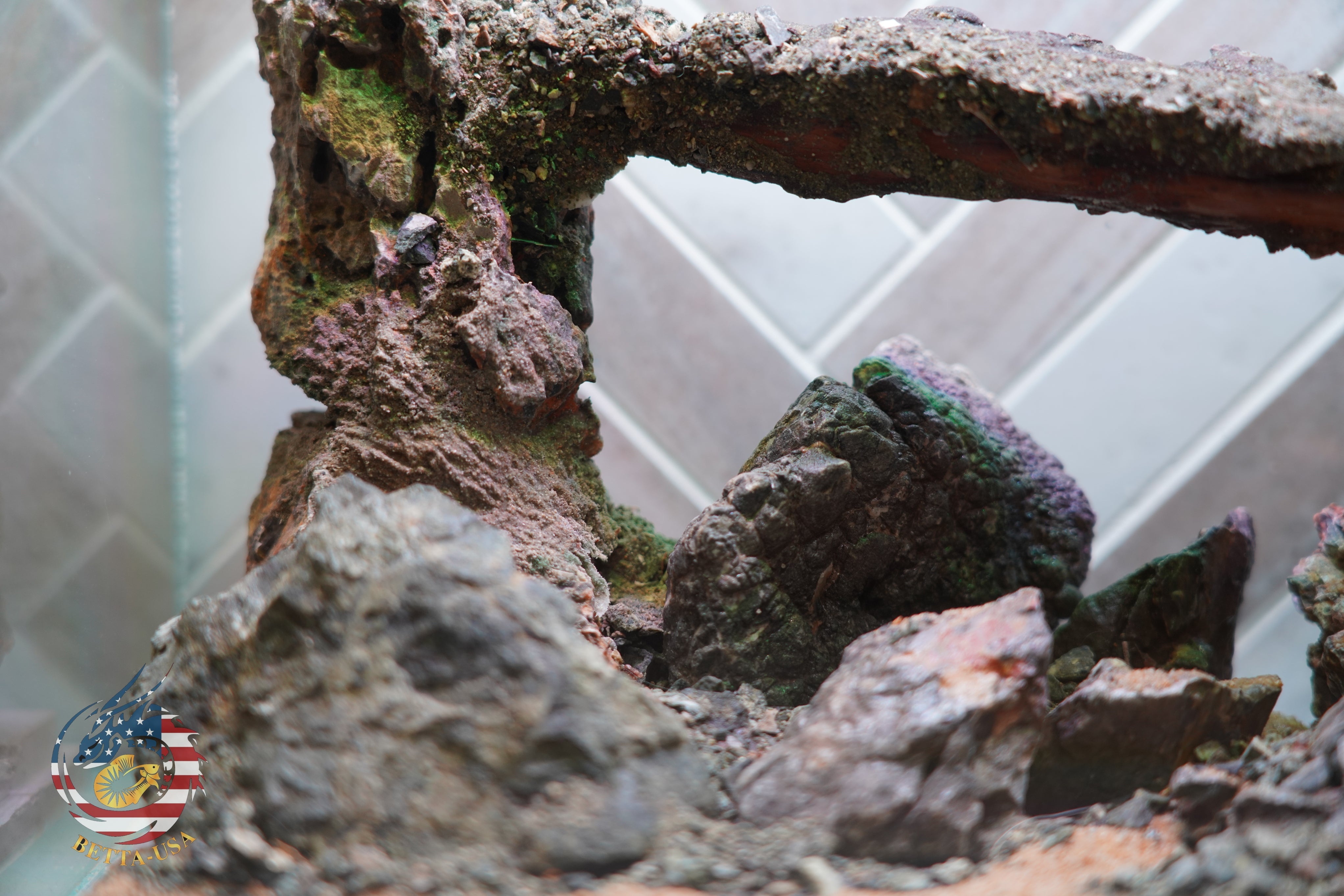 [SCAPE-87] Mountain-Inspired Aquarium Aquascape – 2.7 Gallons