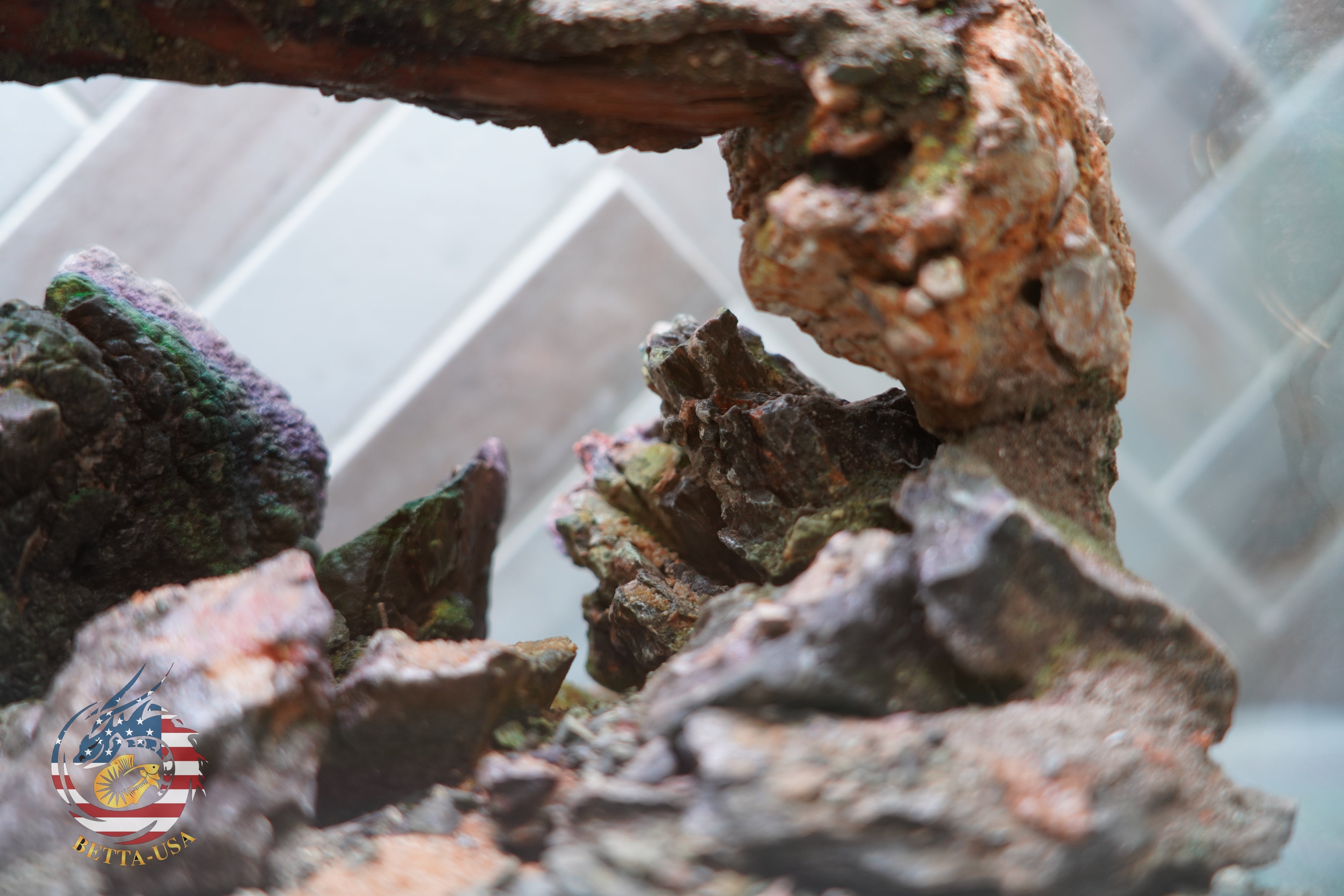 [SCAPE-87] Mountain-Inspired Aquarium Aquascape – 2.7 Gallons