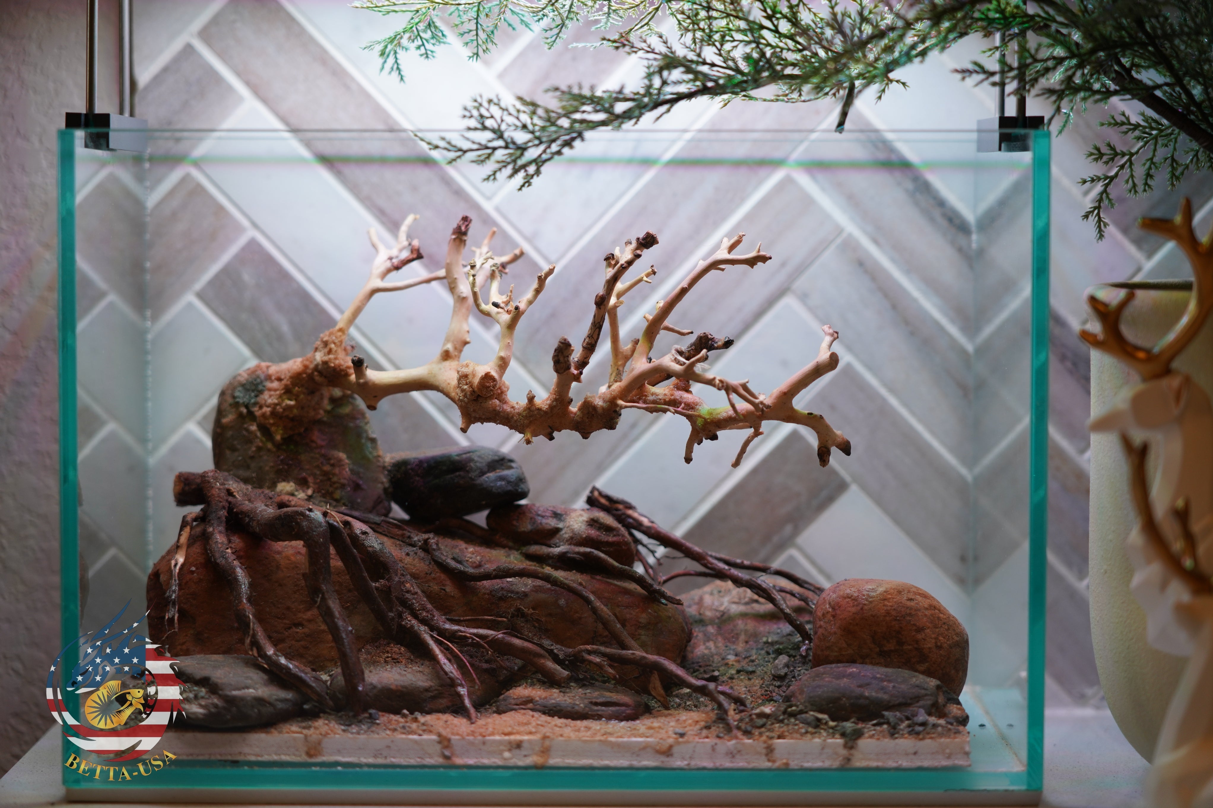 [SCAPE-88] Bonsai On Rock Nature Aquarium Aquascape – 2.7 Gallons