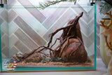 [SCAPE-89]  Nature Aquarium Aquascape Driftwood– 2.7 Gallons
