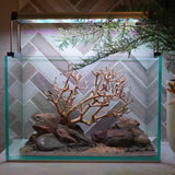 [SCAPE-90] Bonsai On Rock Nature Aquarium Aquascape – 2.7 Gallons