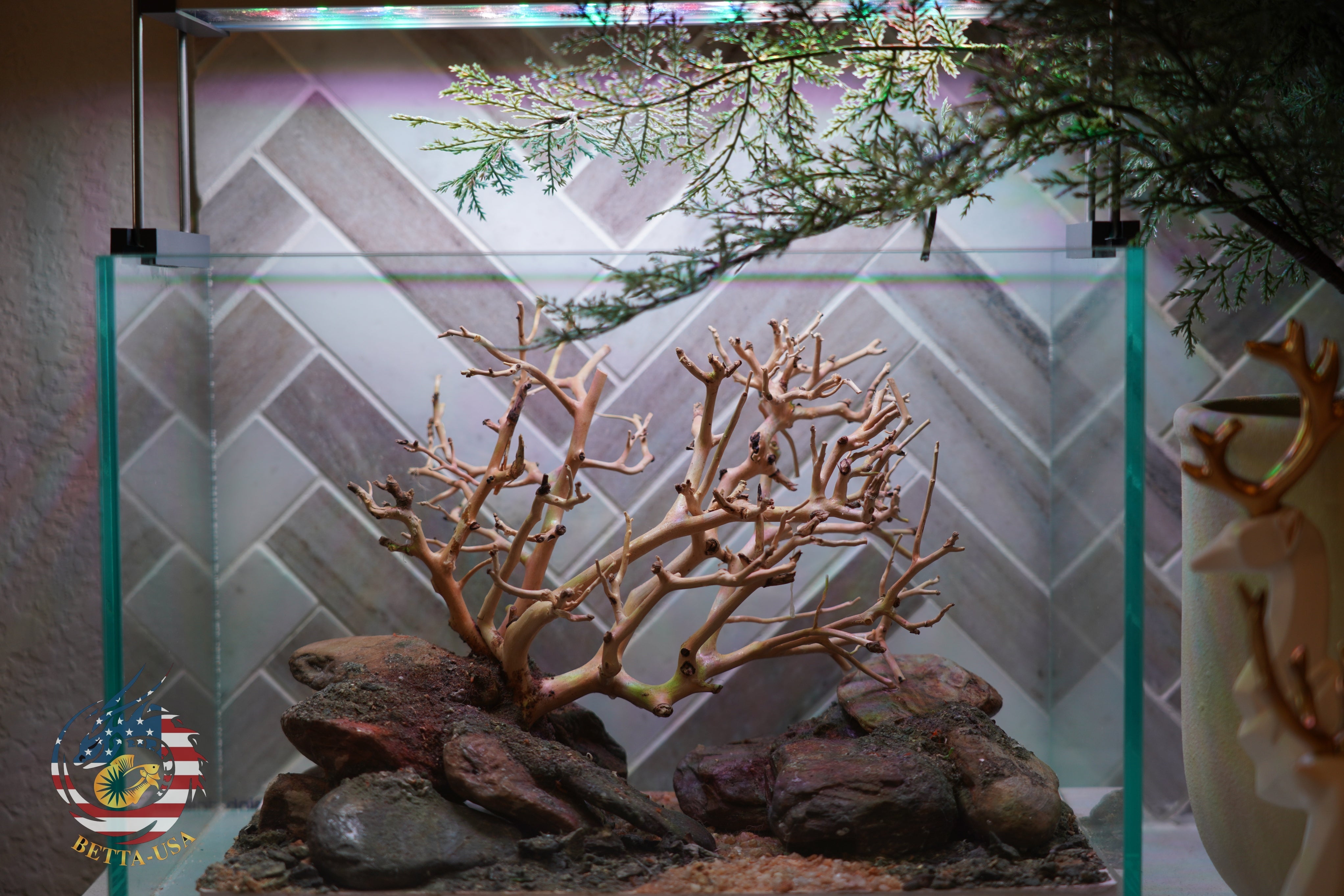 [SCAPE-90] Bonsai On Rock Nature Aquarium Aquascape – 2.7 Gallons