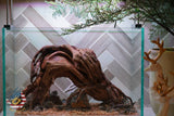 [SCAPE-92]  Nature Aquarium Aquascape Driftwood– 2.7 Gallons