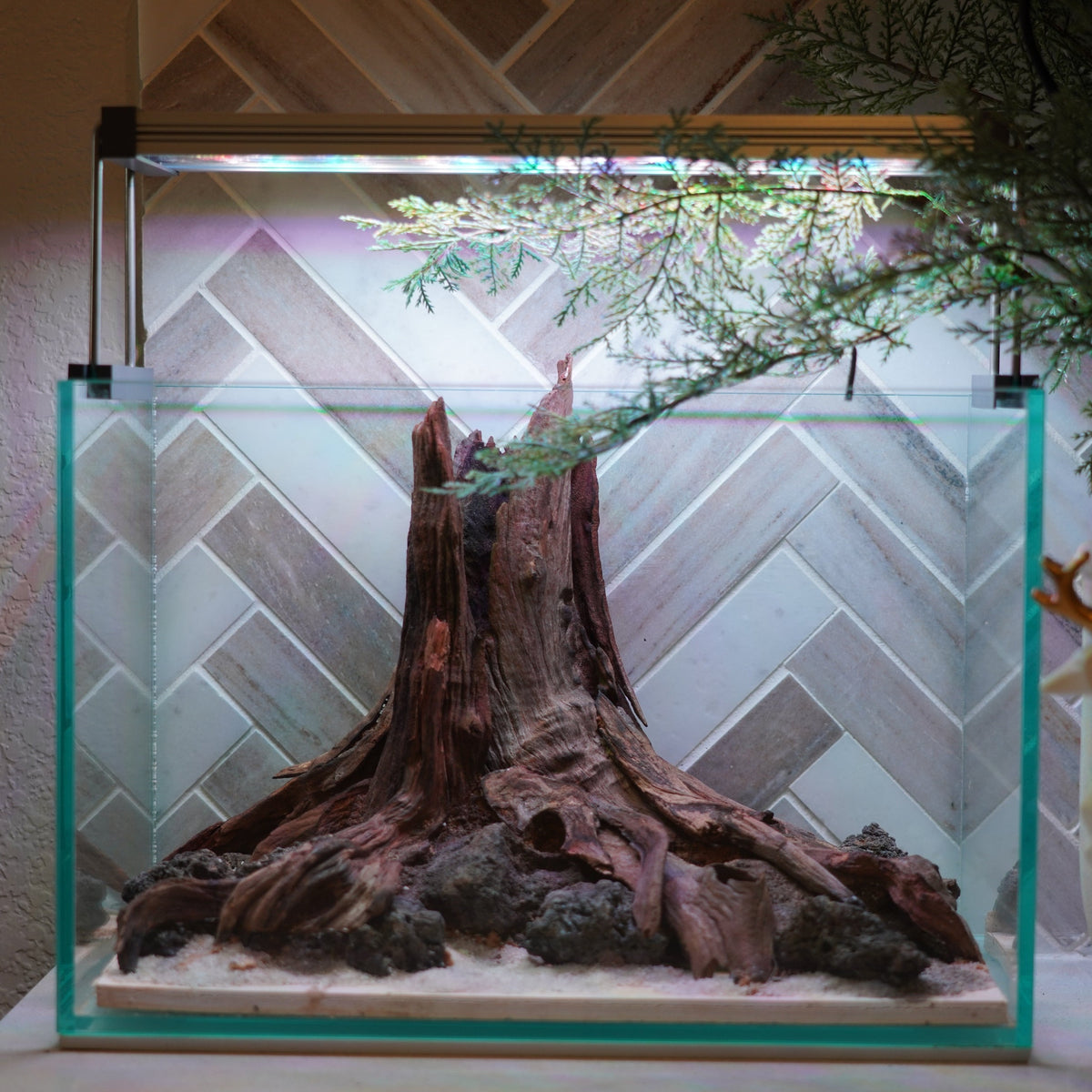 [SCAPE-93]  Nature Aquarium Aquascape Driftwood– 2.7 Gallons